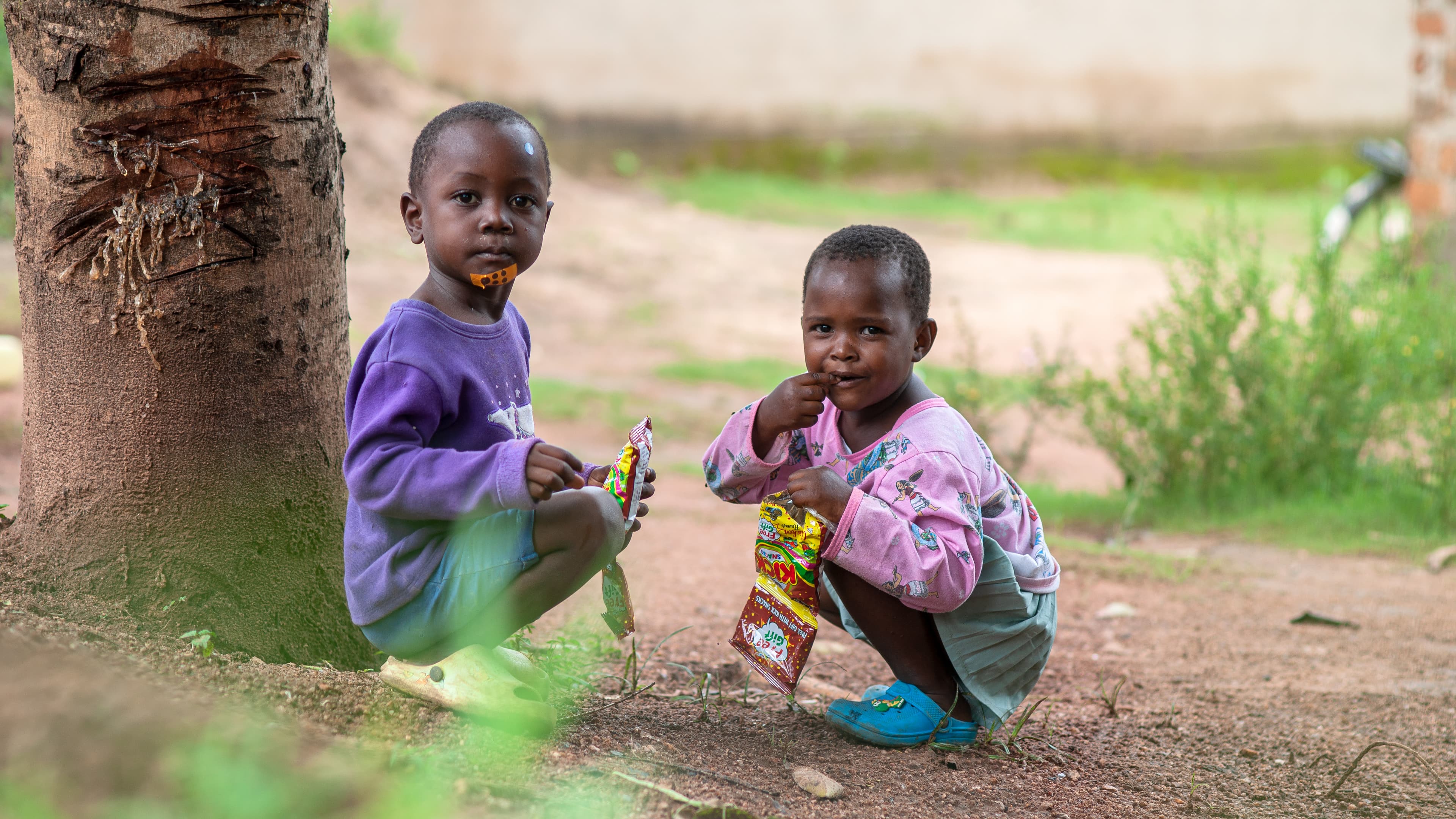Two small children crouch together near a tree.