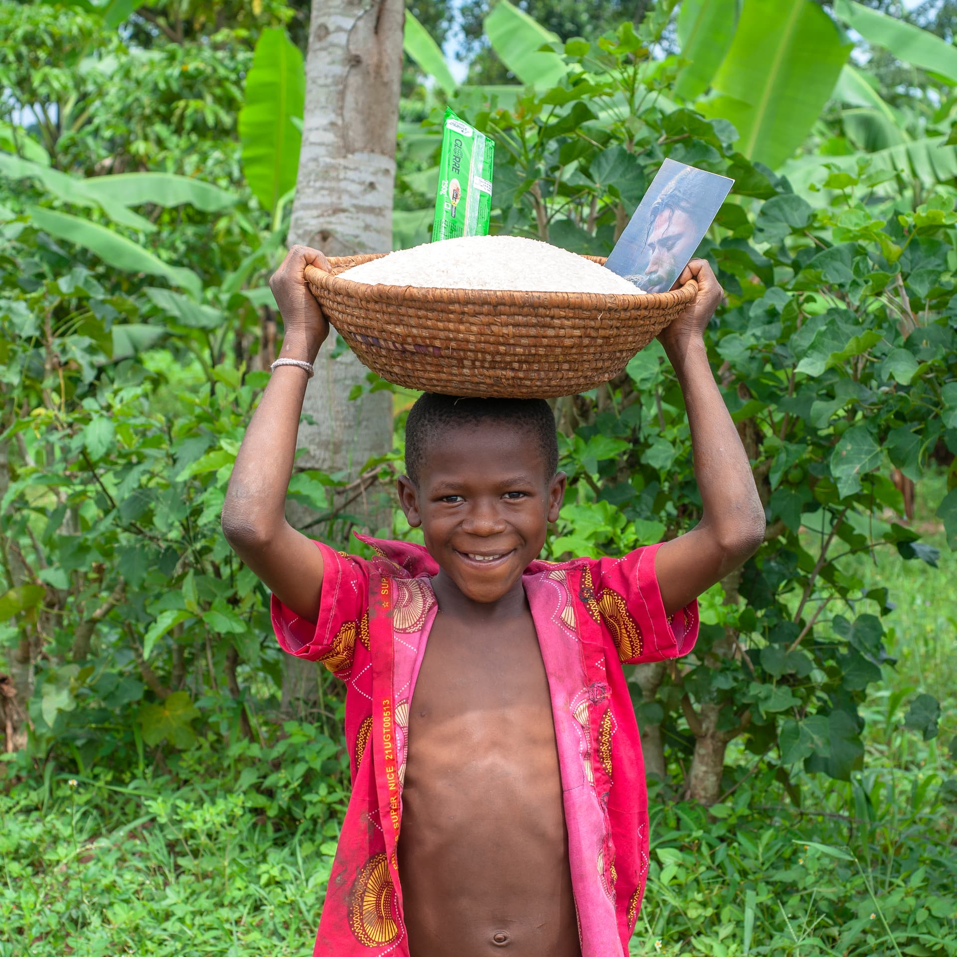 A boy carries a woven basket of rice and a photo card on his head amid greenery.