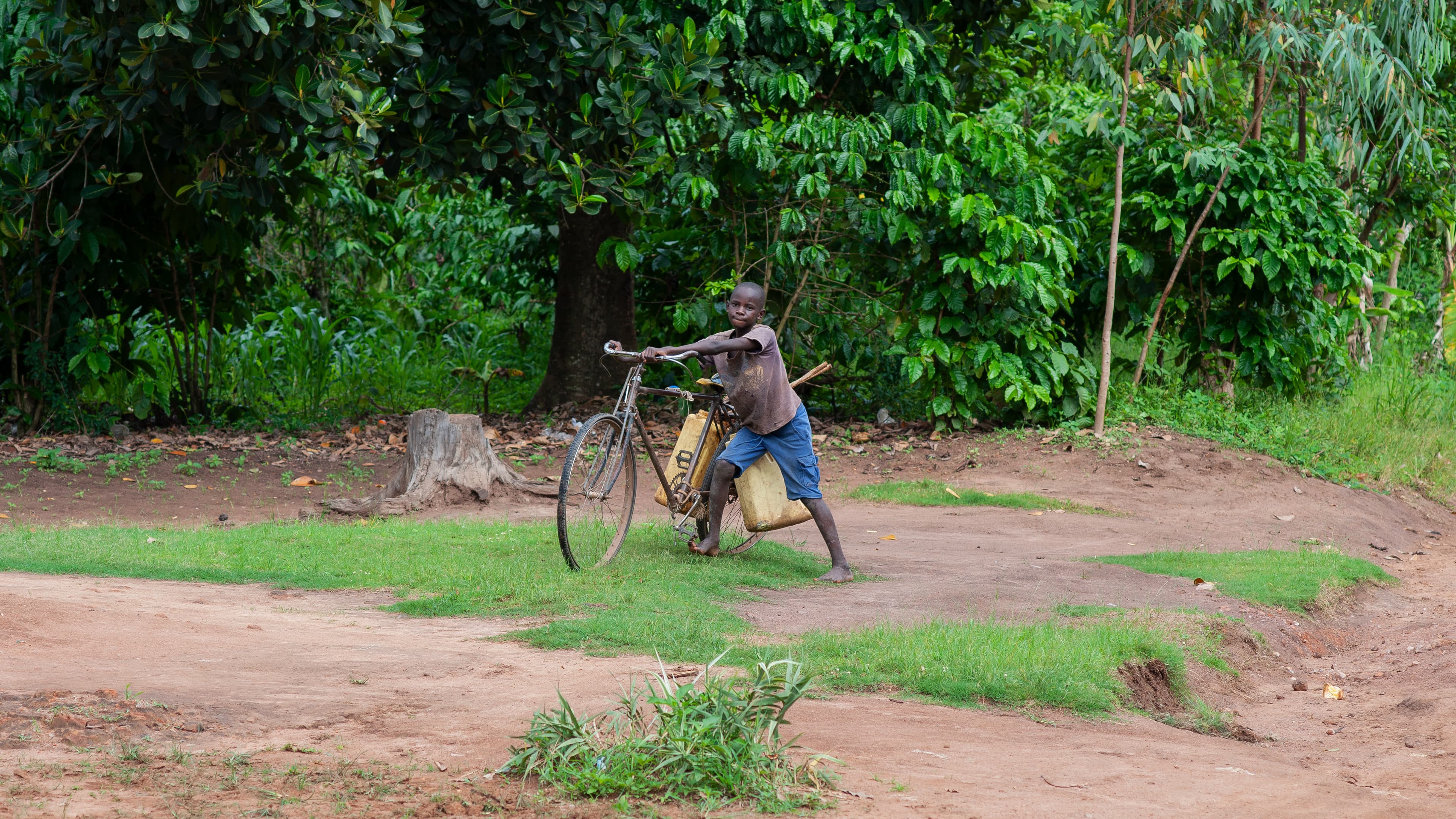 A boy rides a bicycle along a dirt path lined with greenery.
