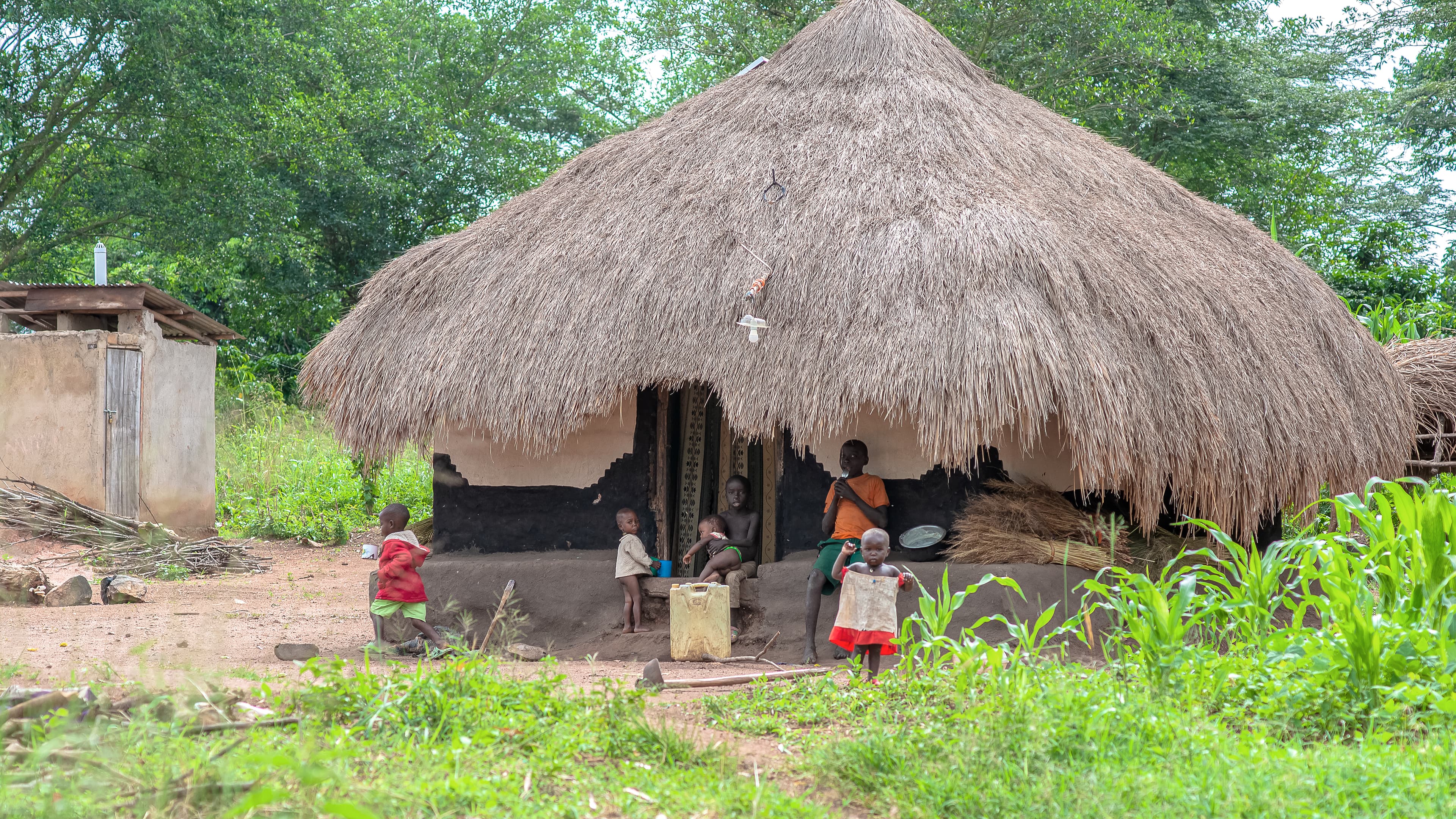 A traditional thatched-roof mud hut stands in a rural village setting.