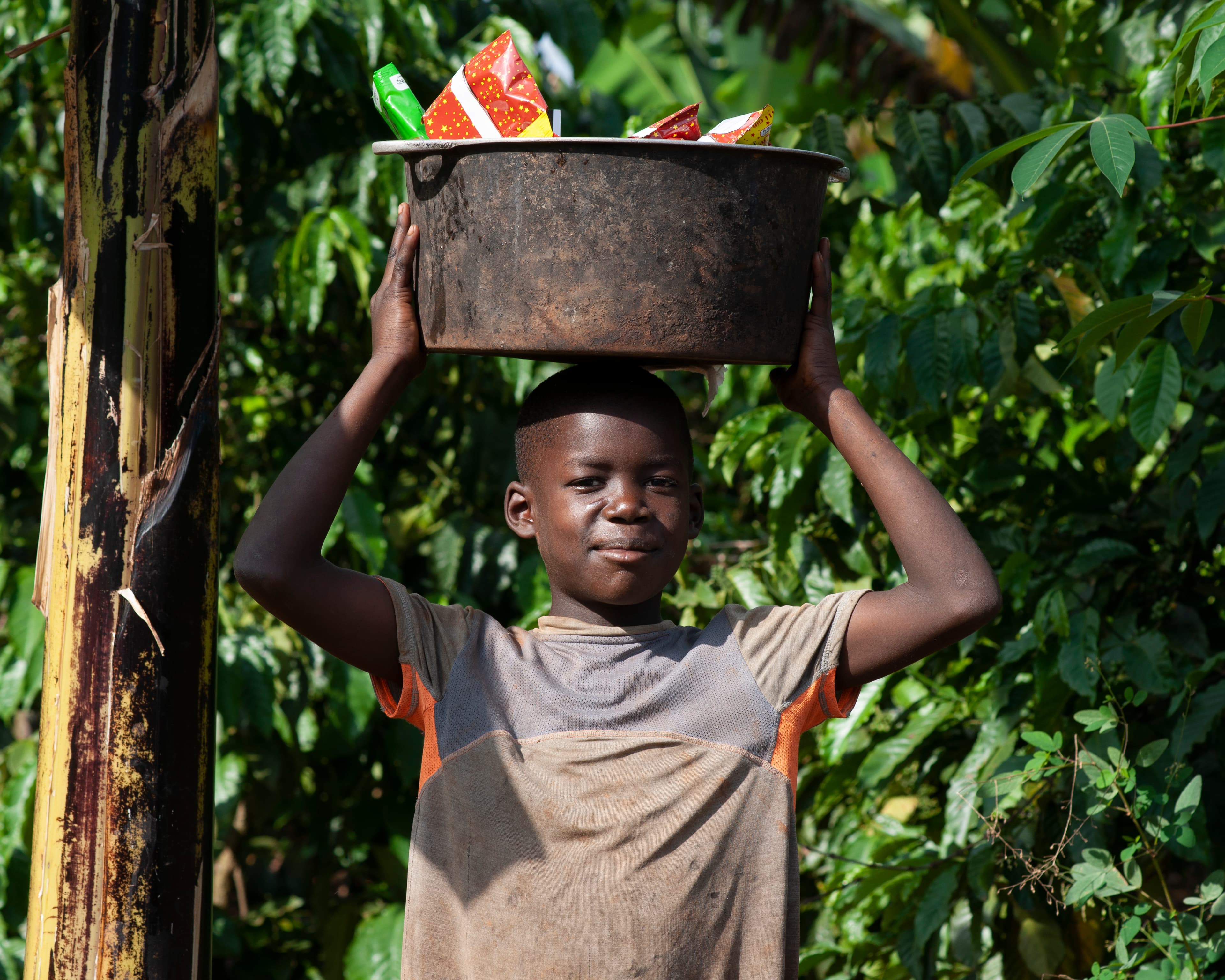 A boy balances a pot of food gift items on his head walking through a banana field.