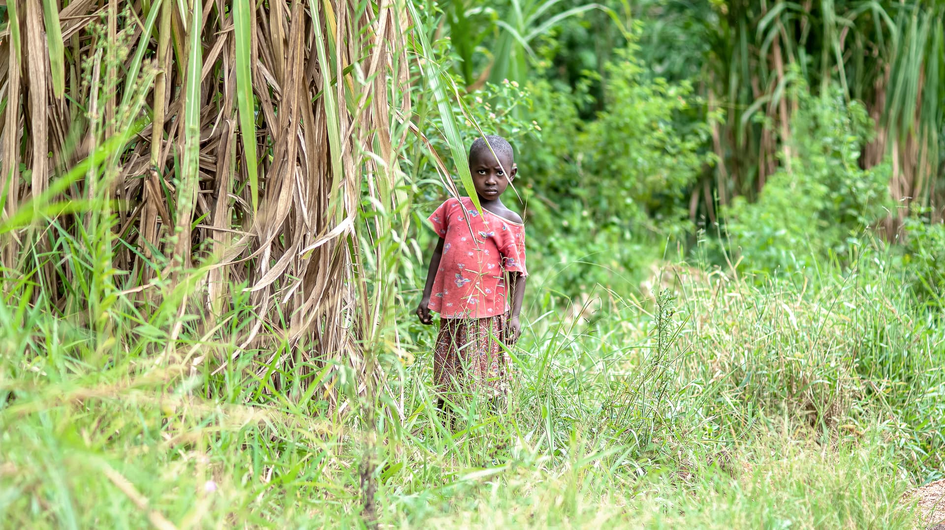 A child stands alone on a dirt path through tall grass and banana leaves in Teluma village.
