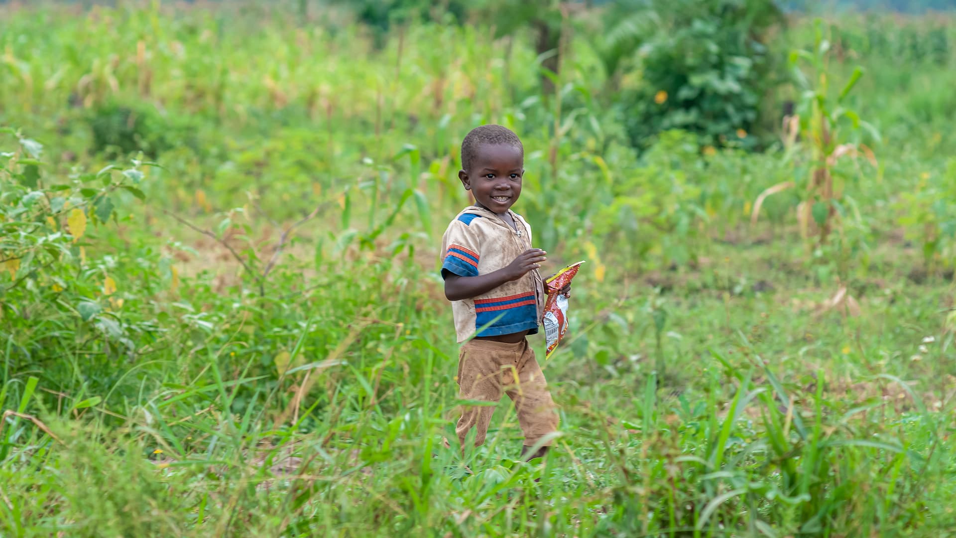 A young child stands alone in a field of tall grass.