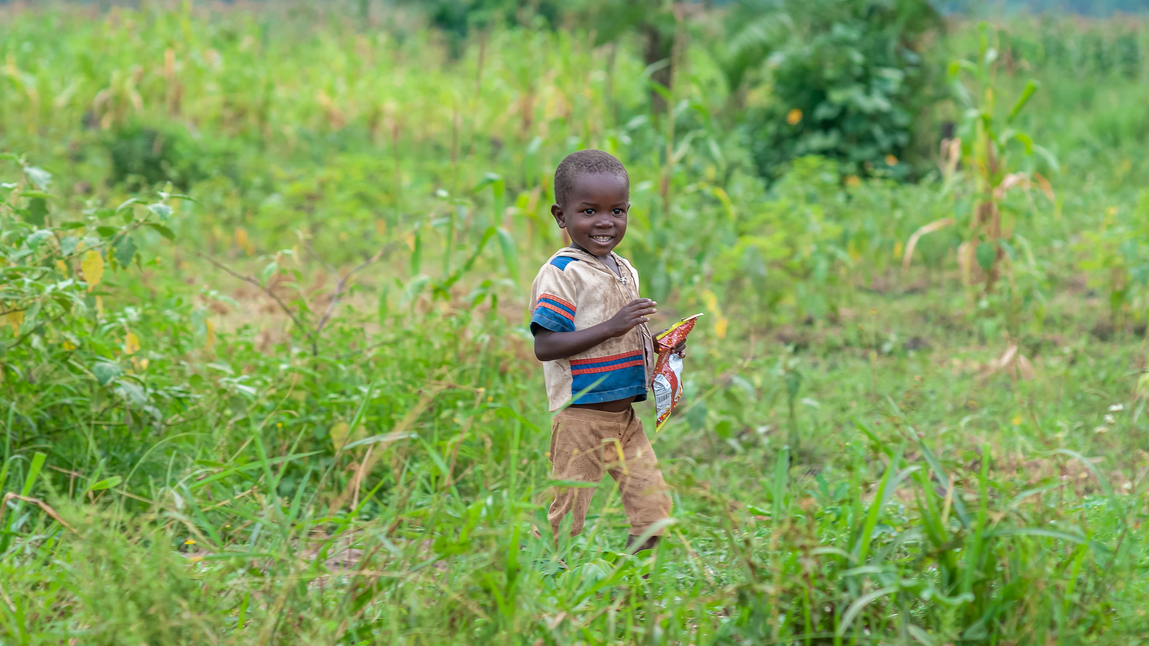 A young child stands alone in a field of tall grass.