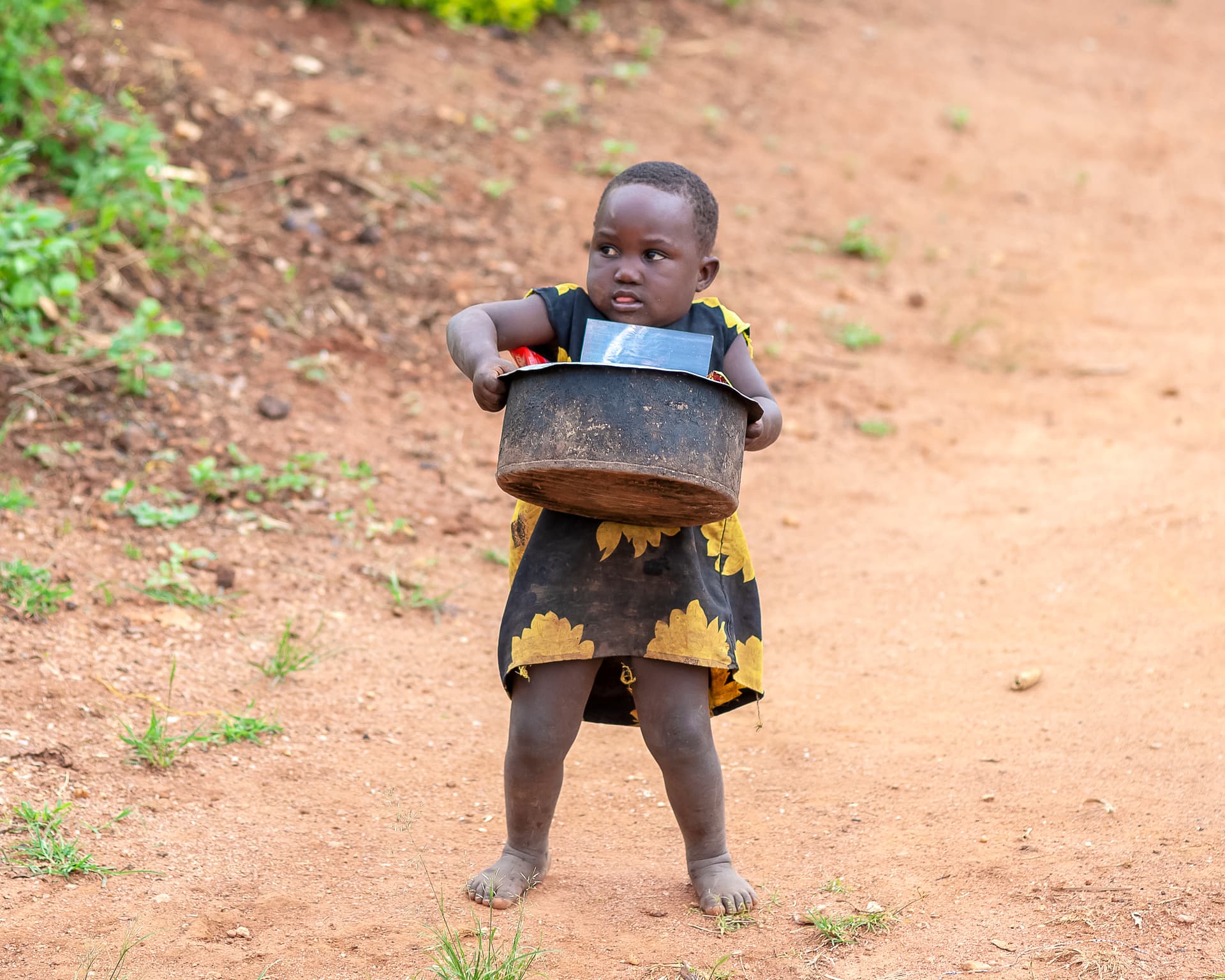 A toddler stands on bare dirt ground holding a metal basin.