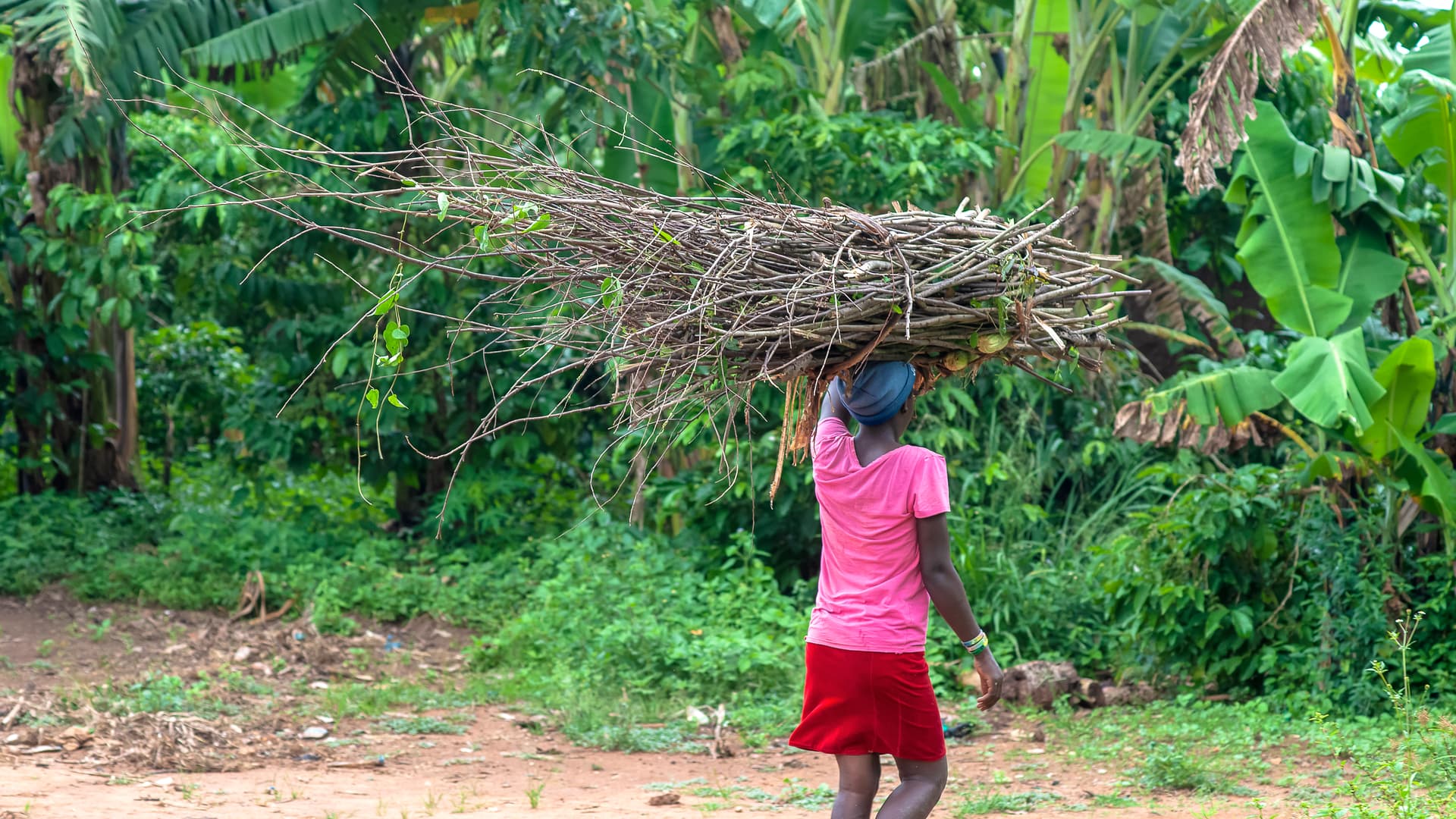 A girl carries a large bundle of firewood balanced on her head along a dirt path.