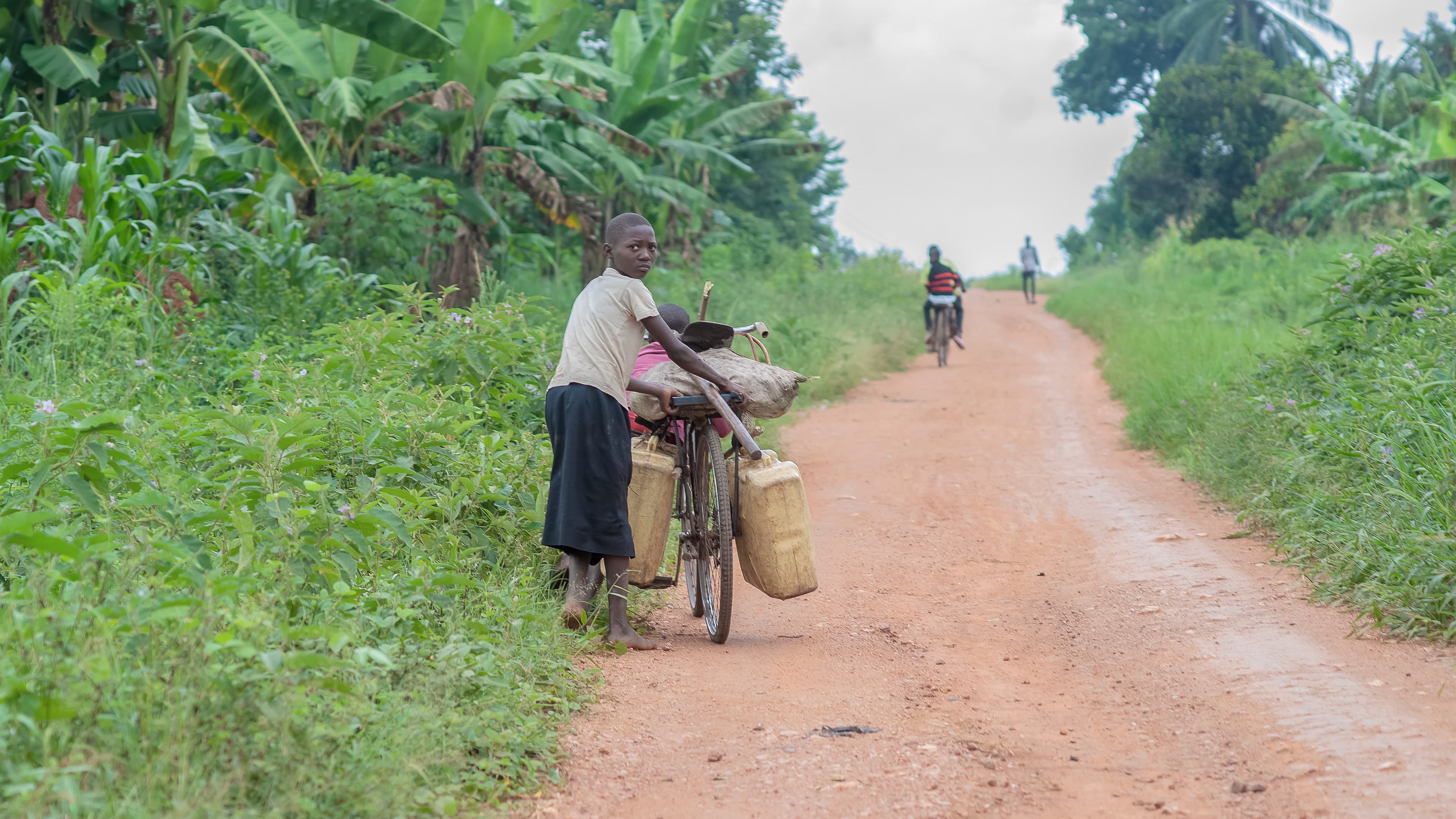 A woman walks down a dirt road pushing a bicycle loaded with items.