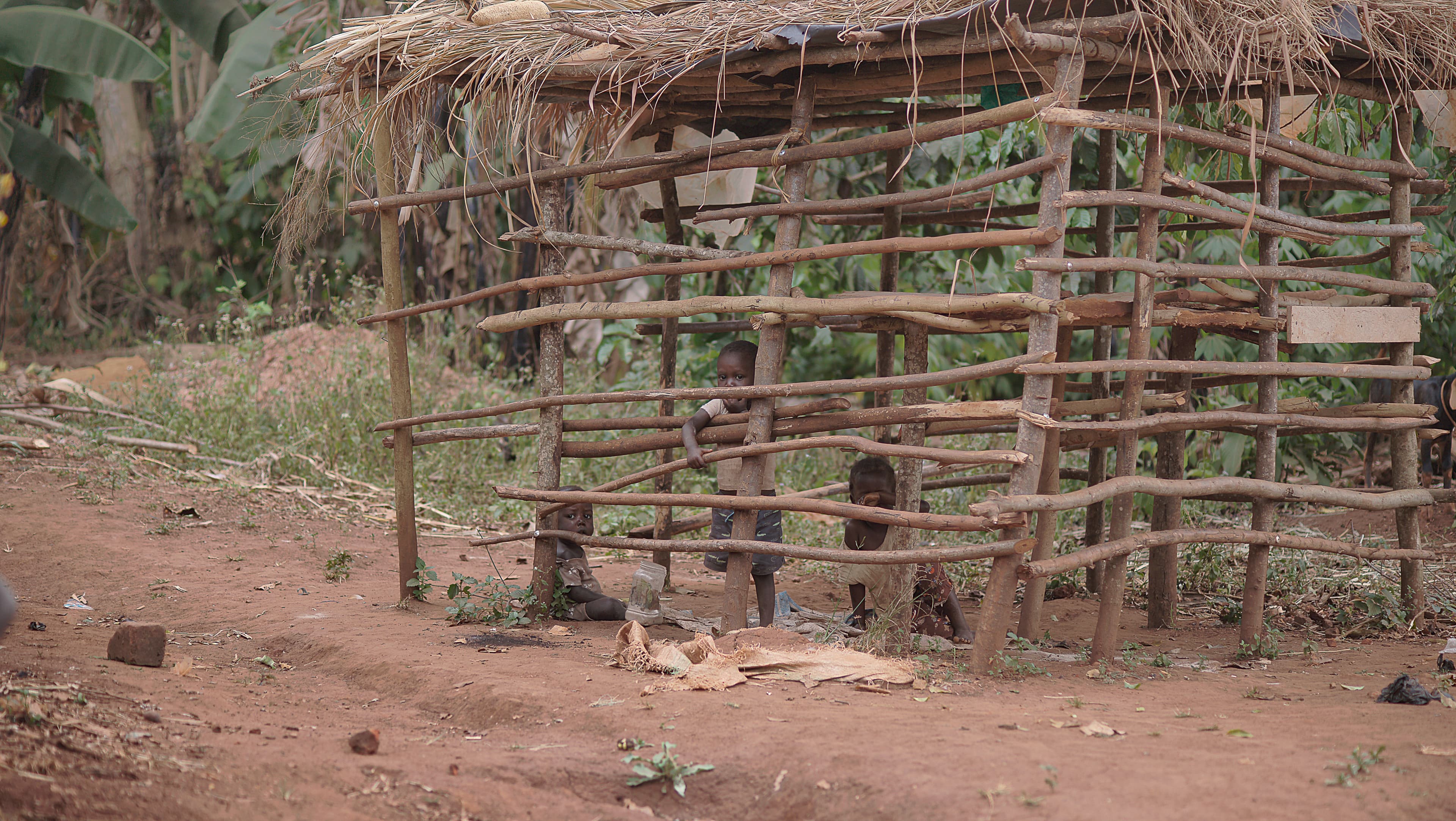 A simple woven stick fence and structure in a rural homestead yard