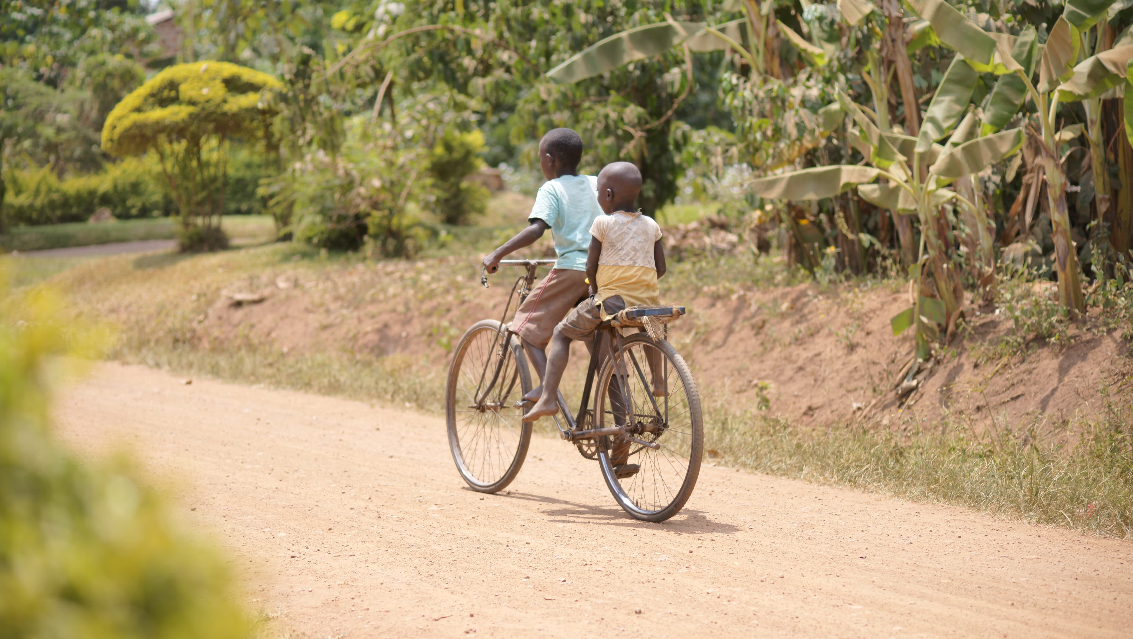 Boy riding a bicycle down a dirt road lined with banana trees