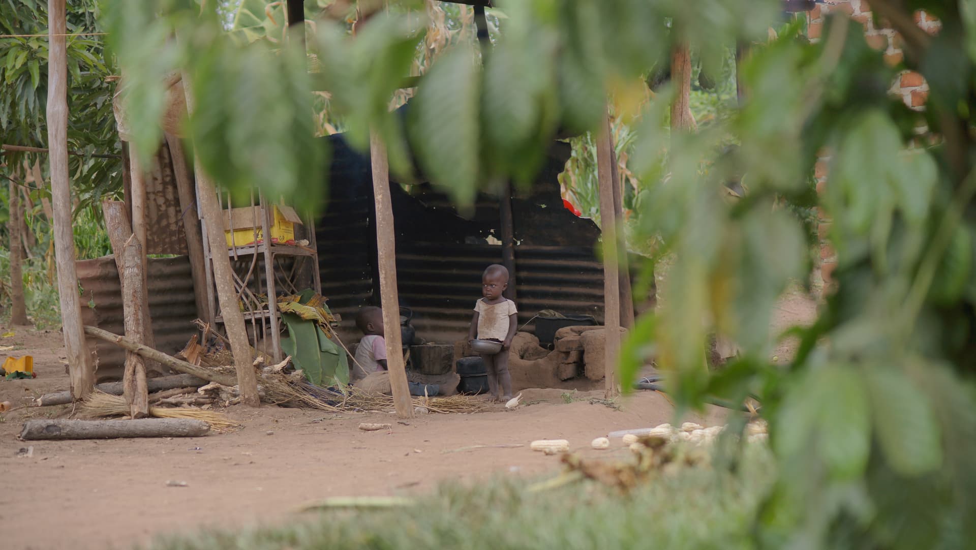 Child standing among green banana trees near a thatched structure