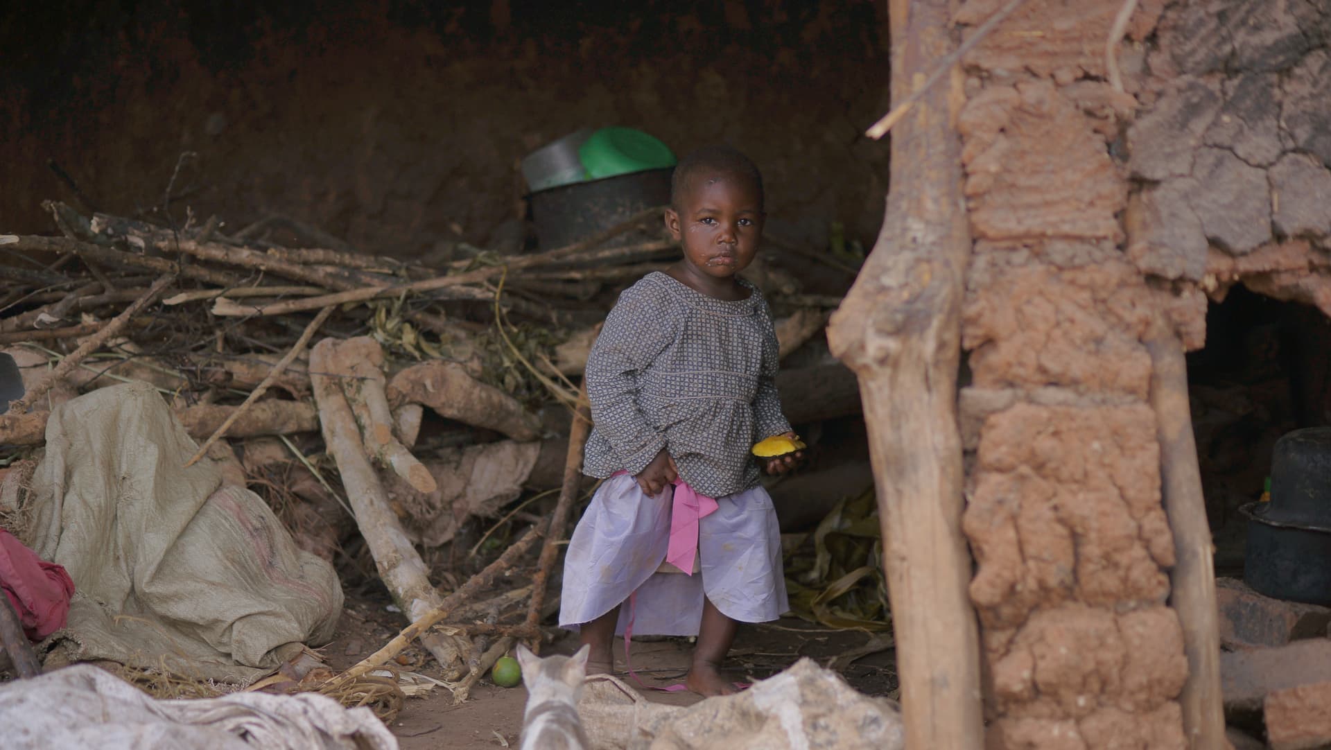 Child standing outdoors near piled firewood and a mud structure