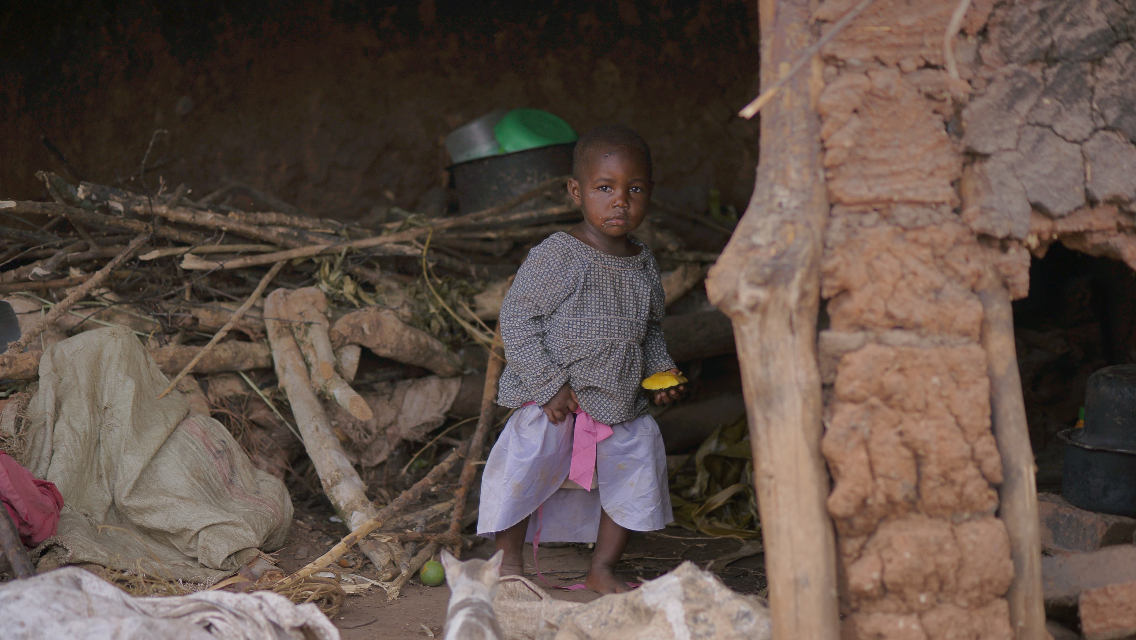 Child standing outdoors near piled firewood and a mud structure