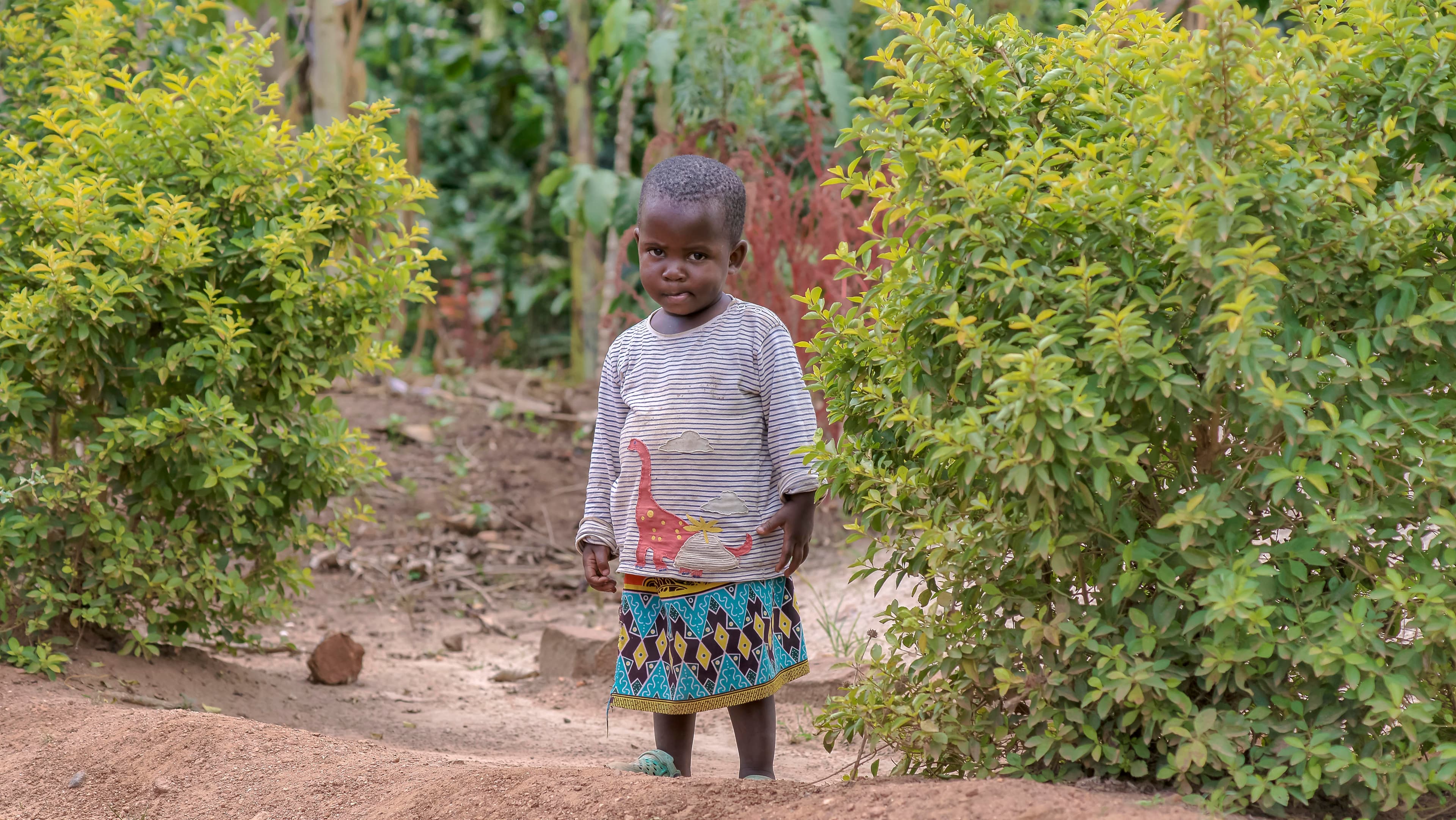 Child standing alone on a dirt path near green bushes in a Ugandan village
