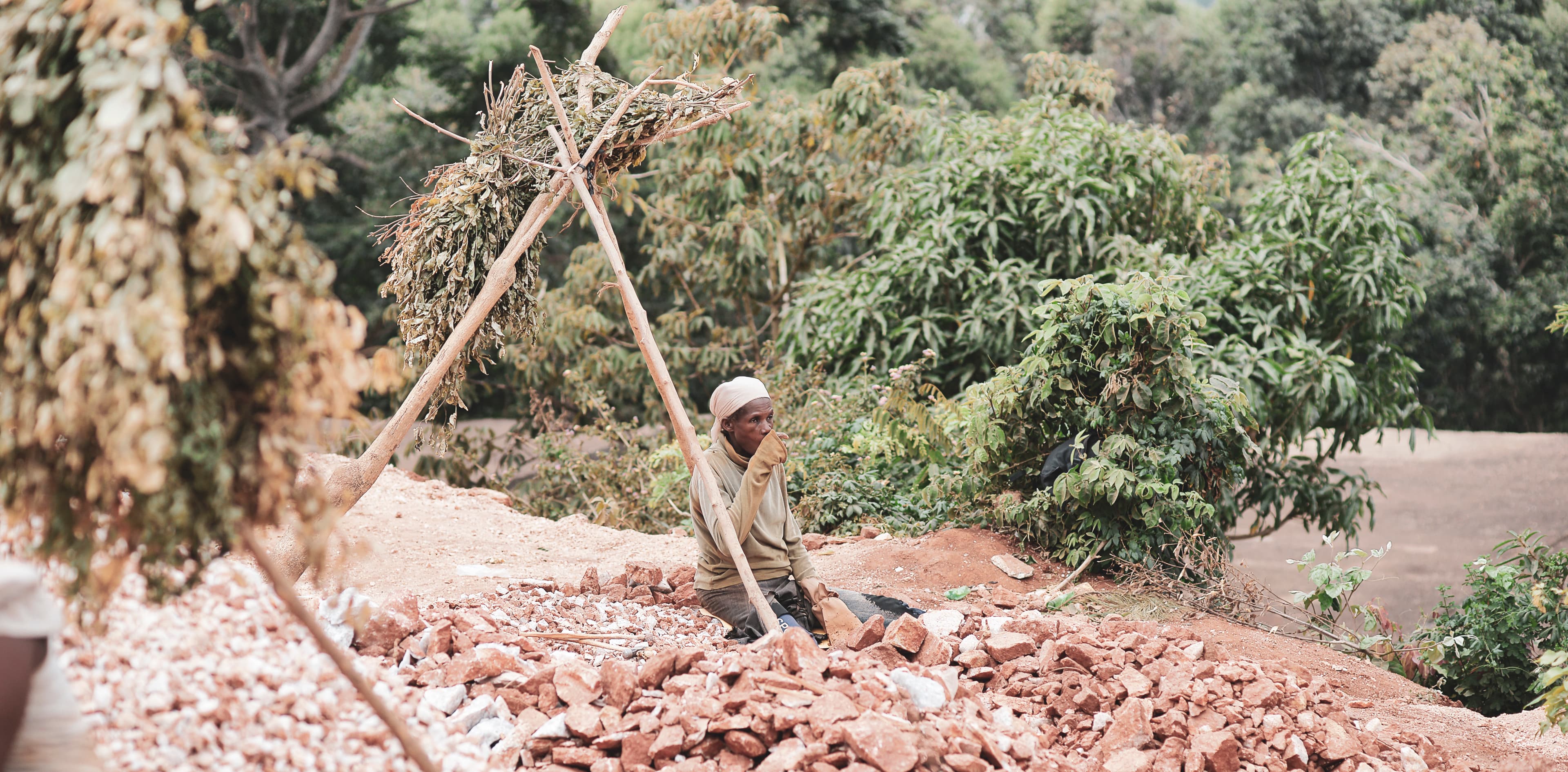 Makeshift shelter of sticks and tarp stands at the quarry site.