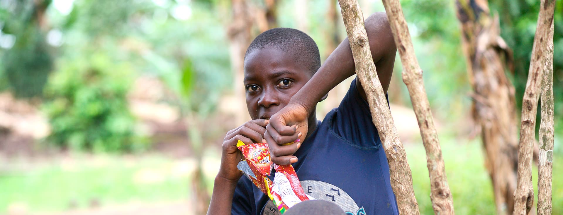 Young boy reaches up into tree branches surrounded by greenery.