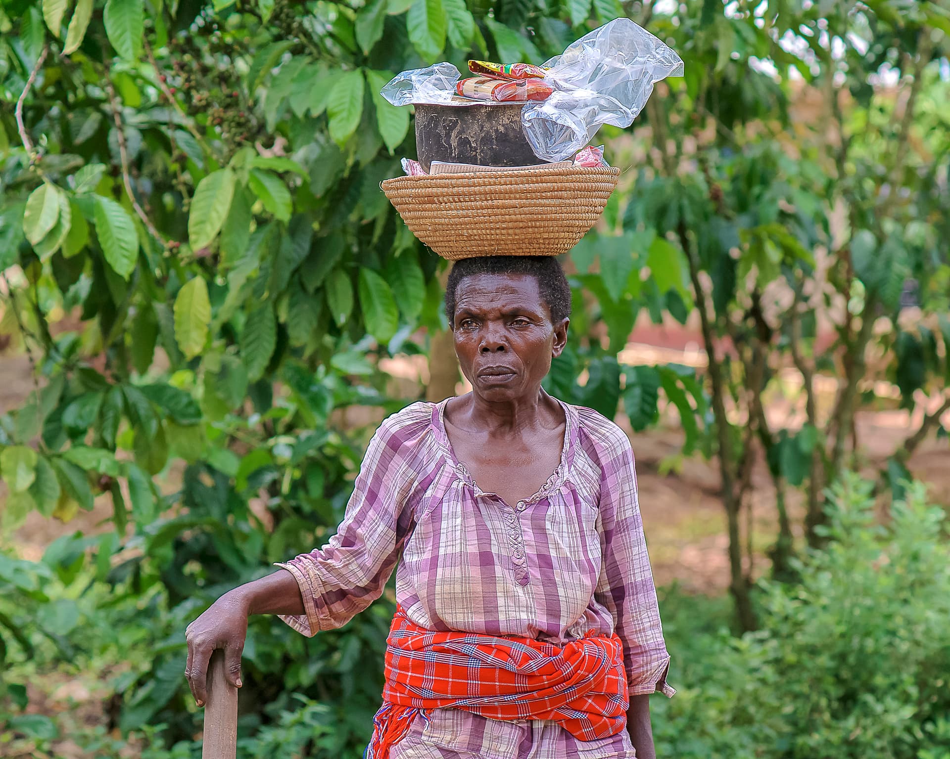An elderly woman balances a basket of food on her head while walking outdoors.