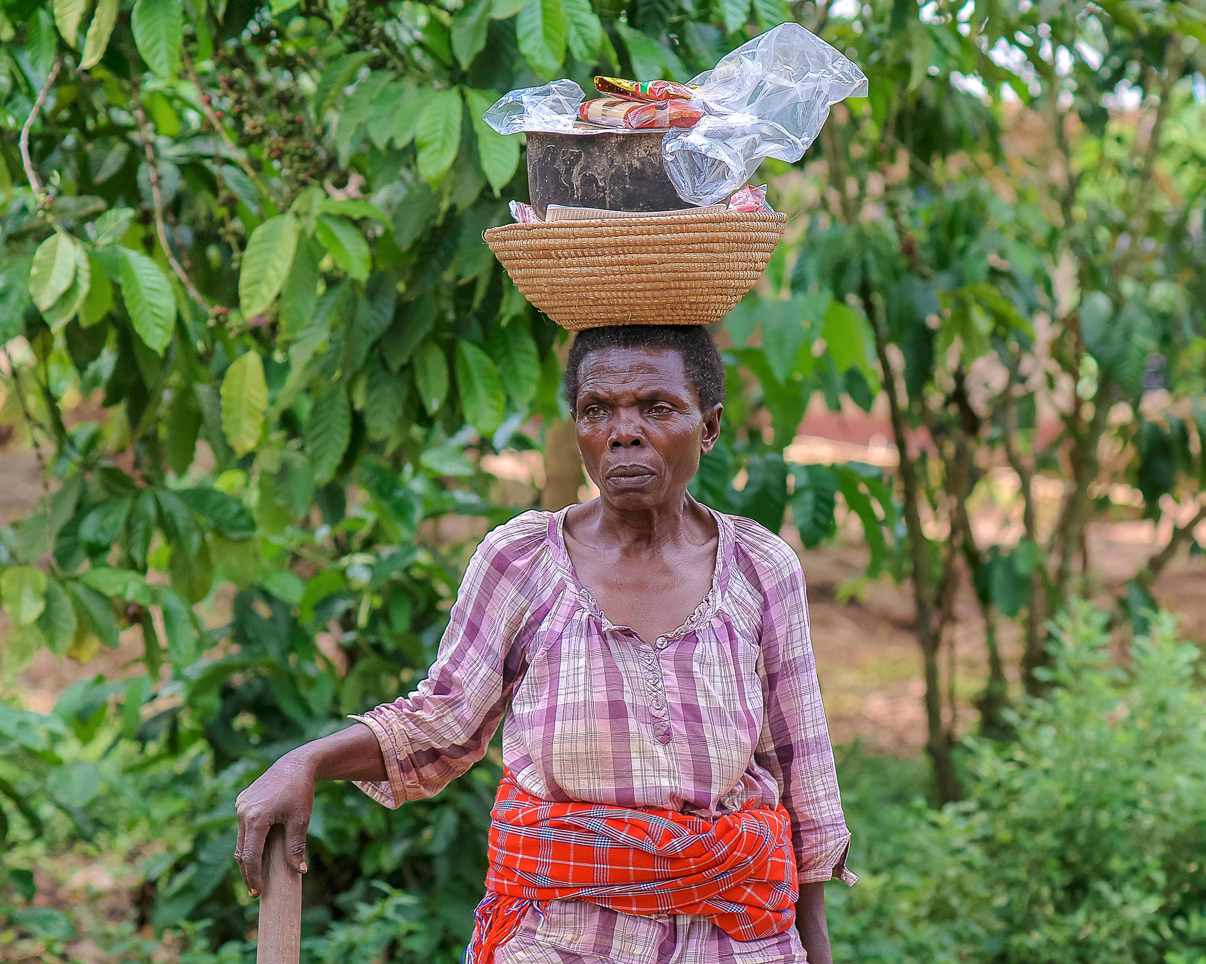 An elderly woman balances a basket of food on her head while walking outdoors.