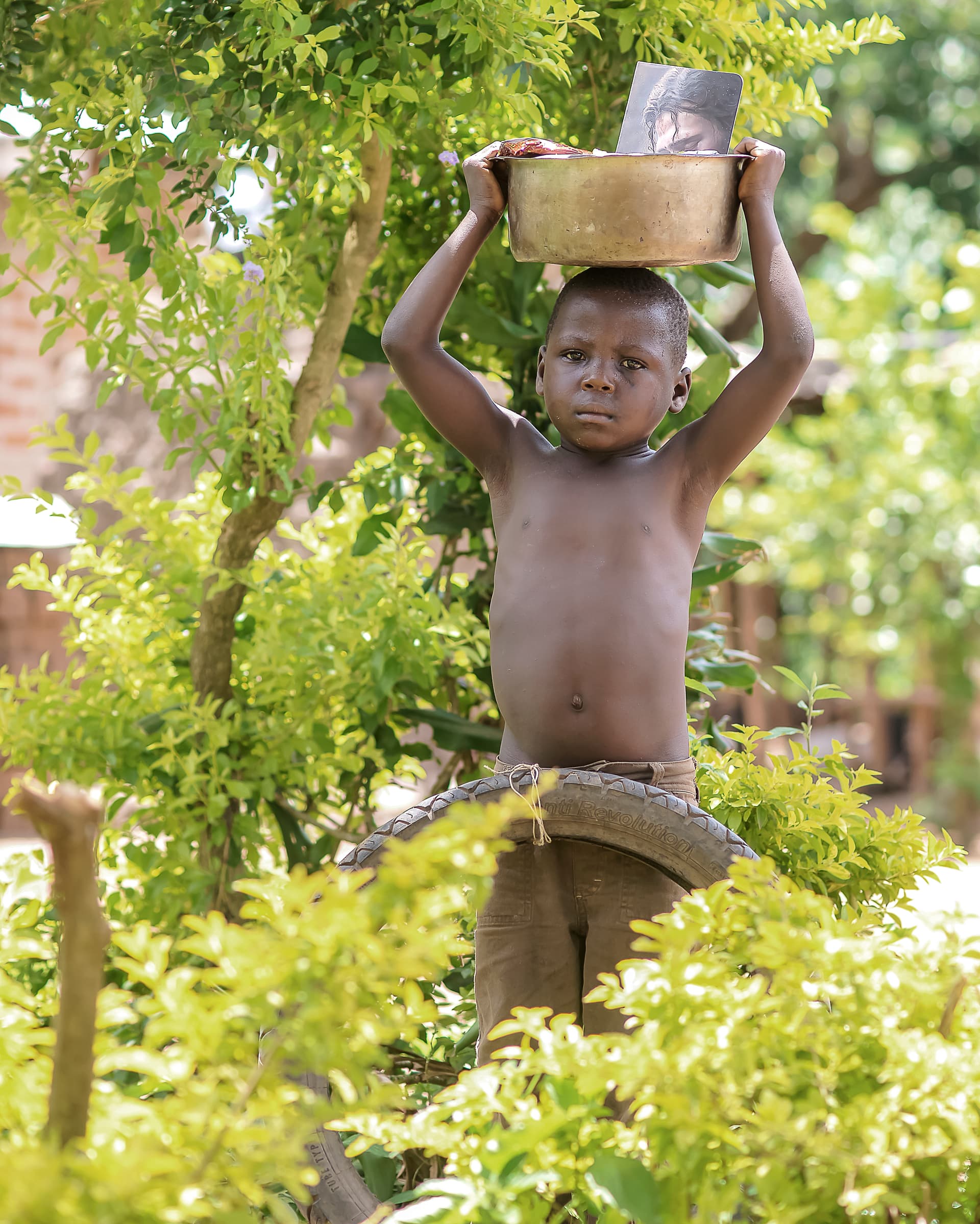 A boy balances a food container on his head while standing in a tree amid greenery.