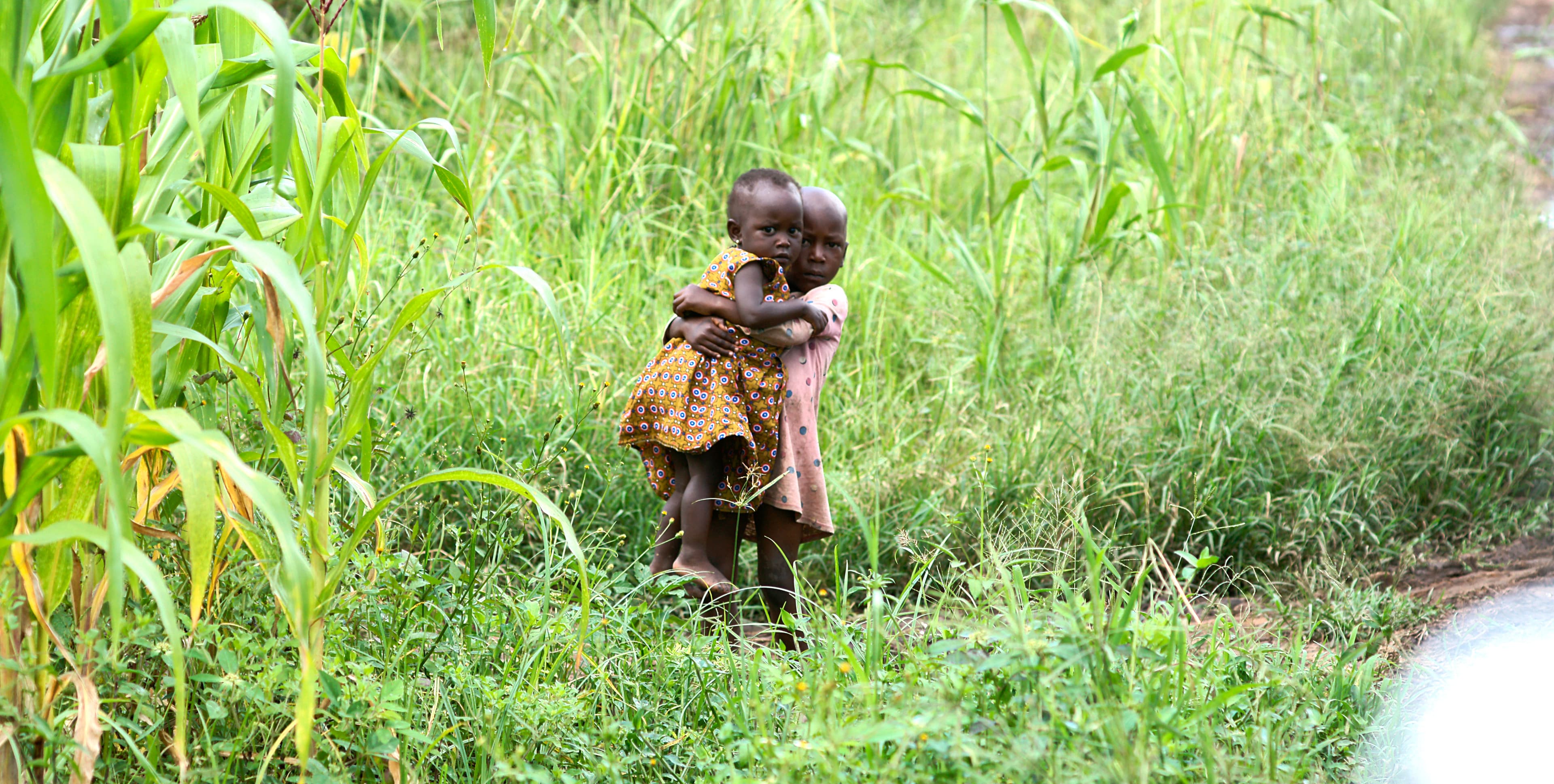 A toddler stands alone in a grassy field.