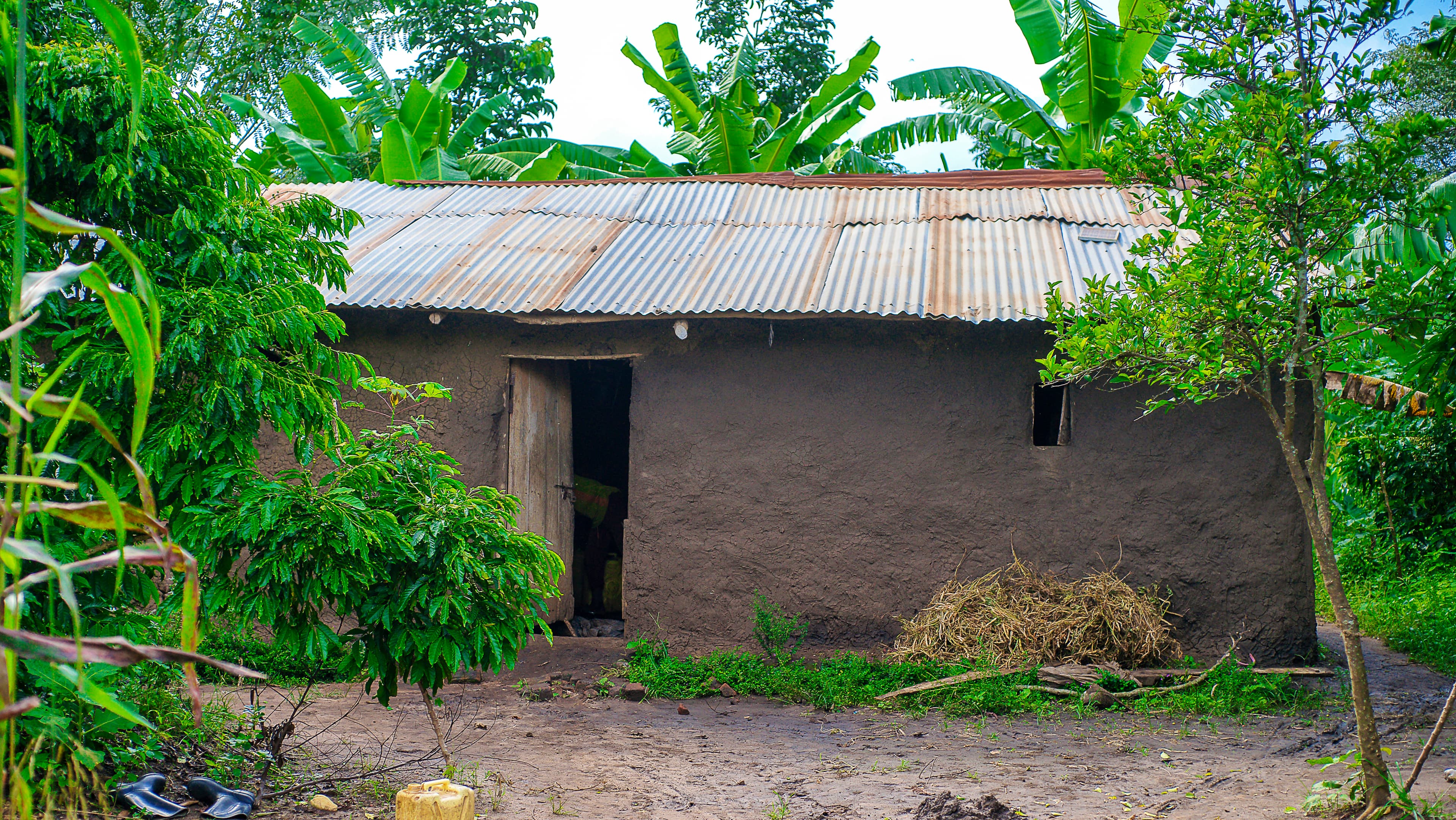 A small mud-brick structure with a corrugated metal roof and thatched sections stands in a village yard.
