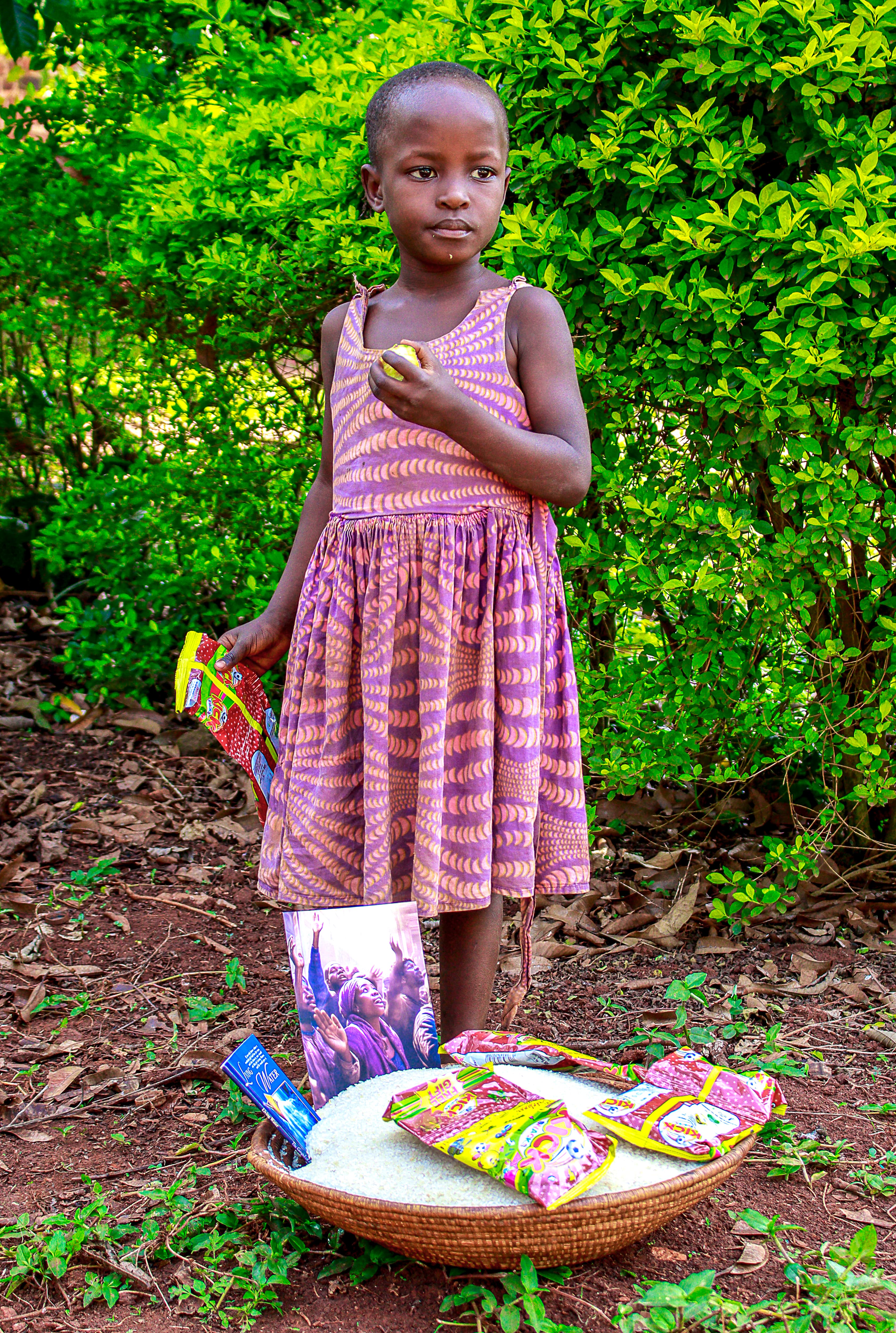A young girl in a pink dress stands in a garden beside a basket of food packets on the ground.