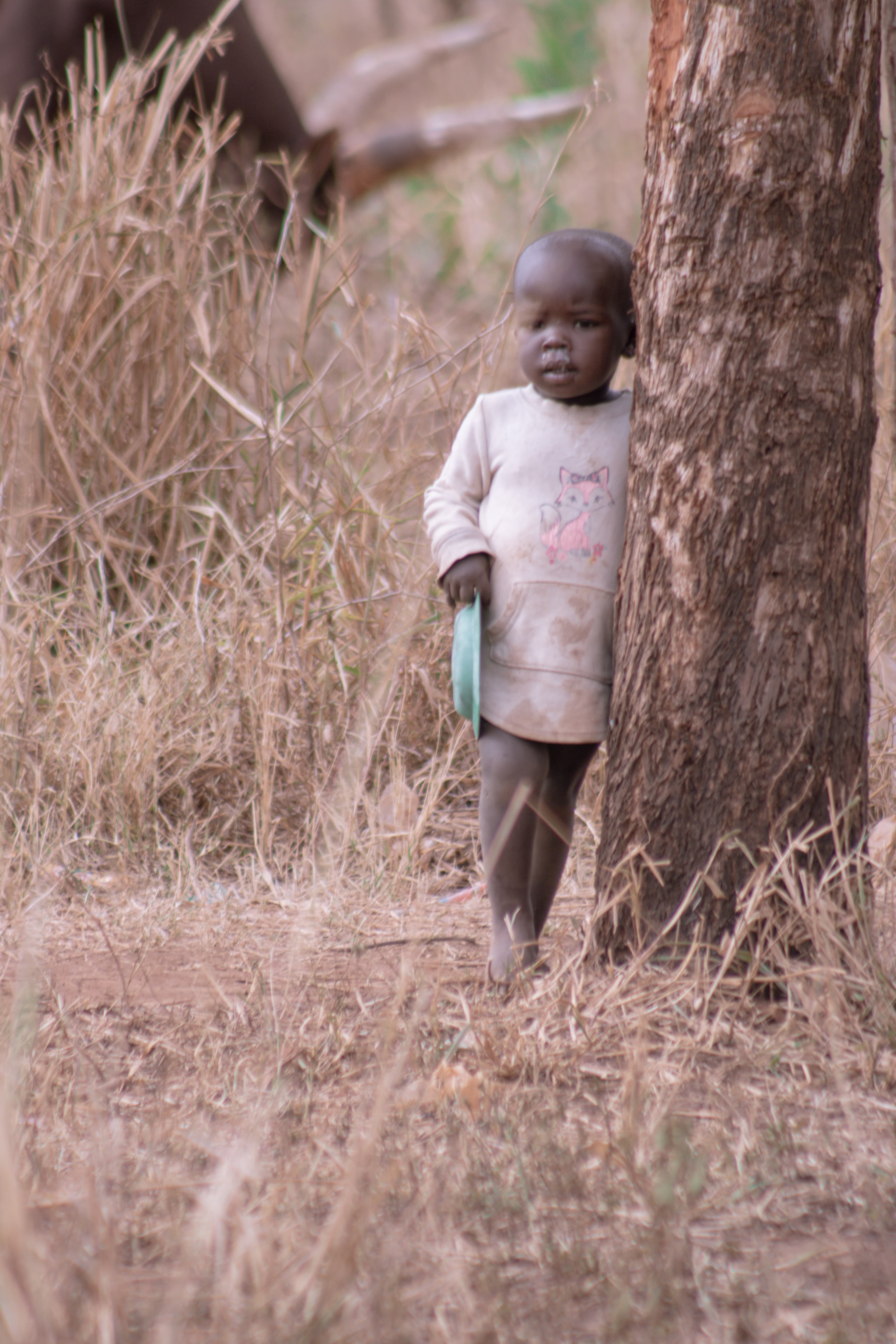 A child stands alone beside a large tree trunk in dry grassland.