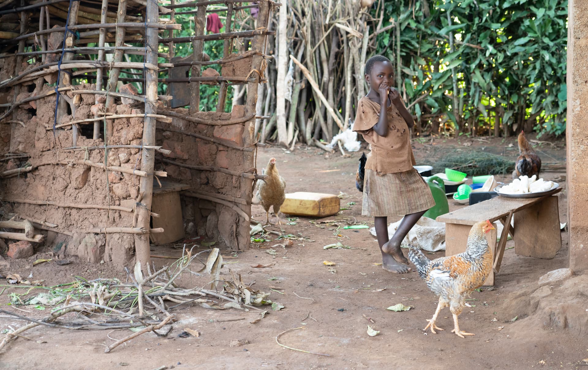 A rural Ugandan homestead with a mud hut, chickens, and a woman working at an outdoor table.