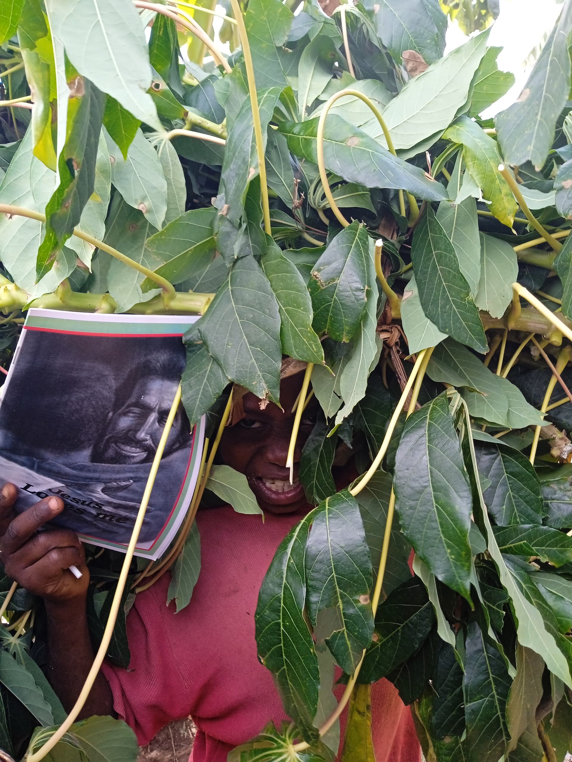 Child standing outdoors among green leaves, holding a photo booklet above their head.