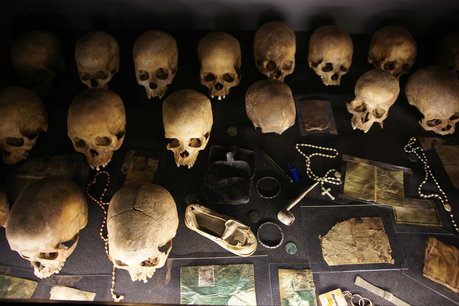 Rows of human skulls displayed at a Rwandan genocide memorial exhibit.
