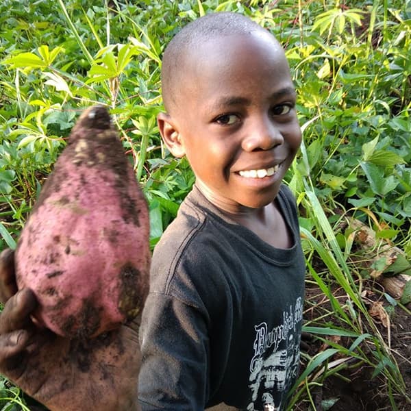 Smiling boy holding a large harvested sweet potato at the Mashariki Children's Home farm.
