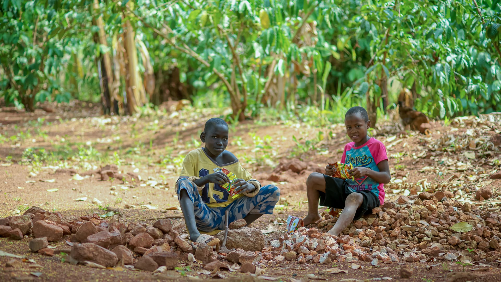 Two children sitting on rocky ground in a farm area surrounded by greenery.