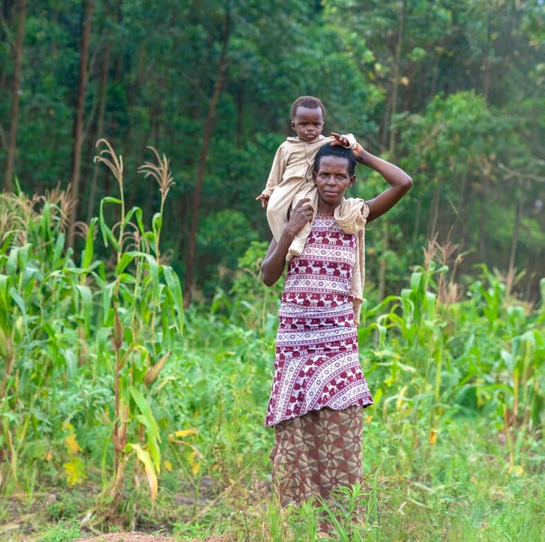 A woman in a patterned dress carries a child on her back while standing in a cornfield.