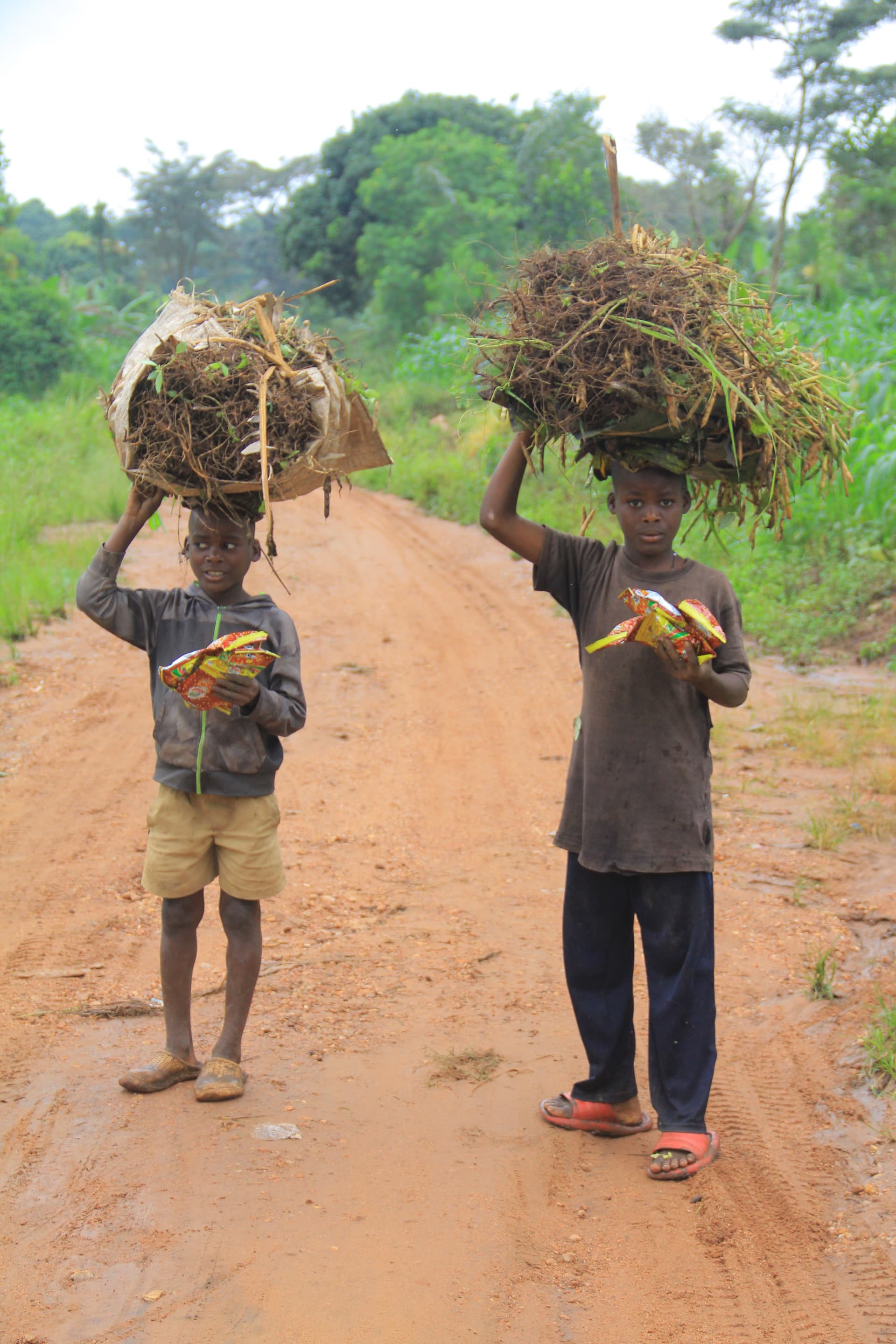 Two children walk along a dirt road carrying bundles of grass or firewood on their heads.