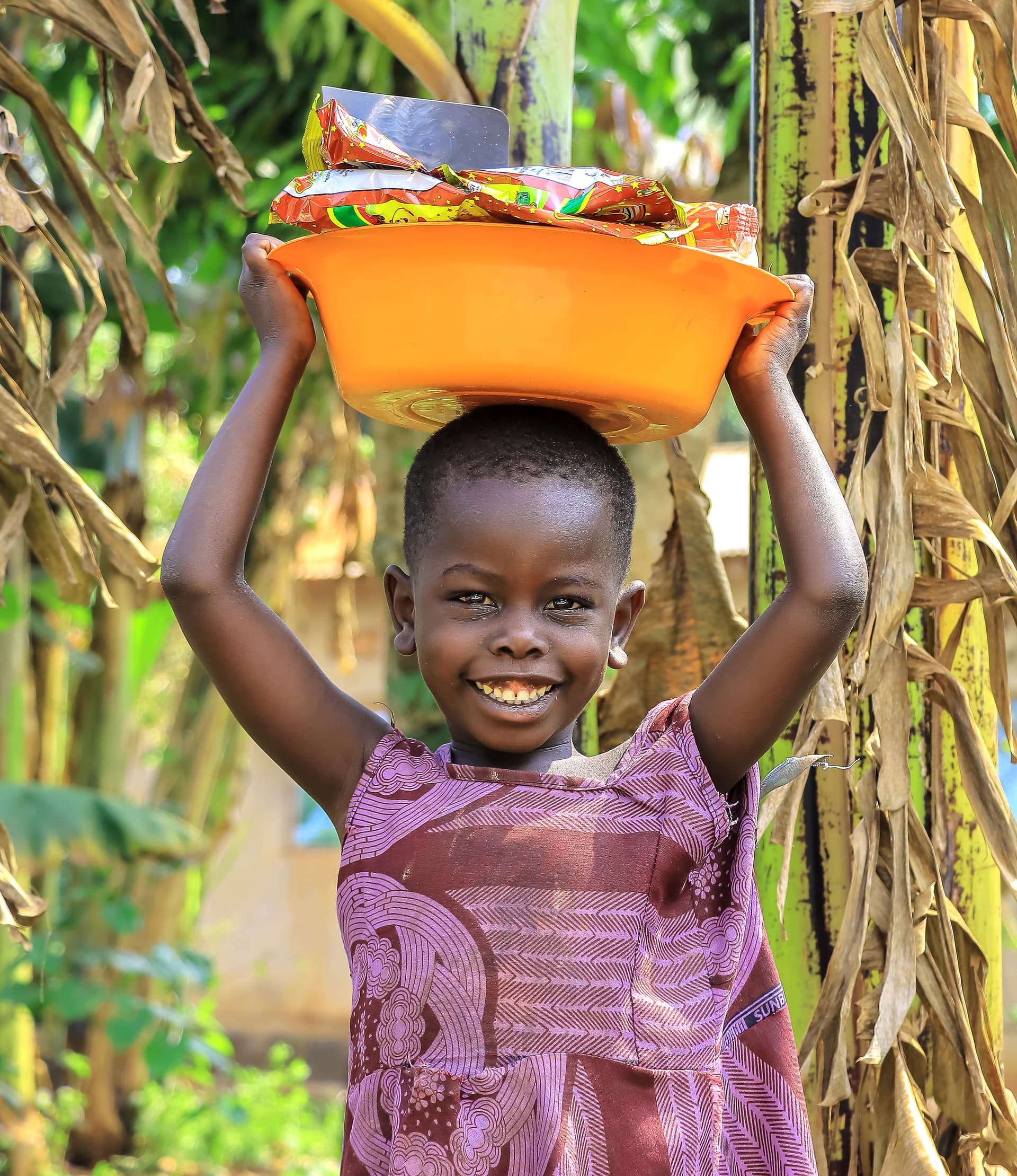 Girl carries an orange basin of food gift items on her head, standing in a cornfield.