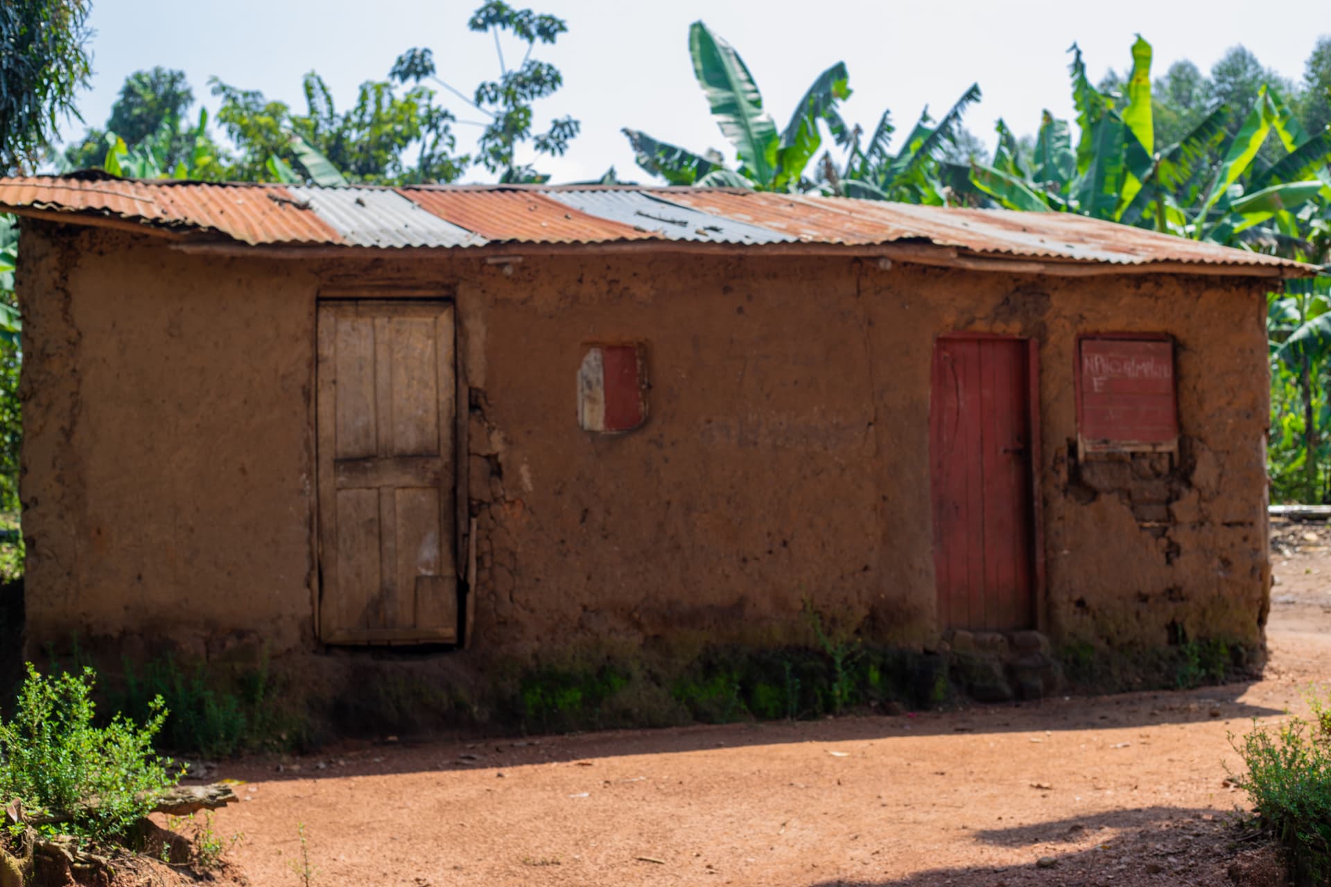 Mud-brick house with a rusted tin roof in the village of Buwambo