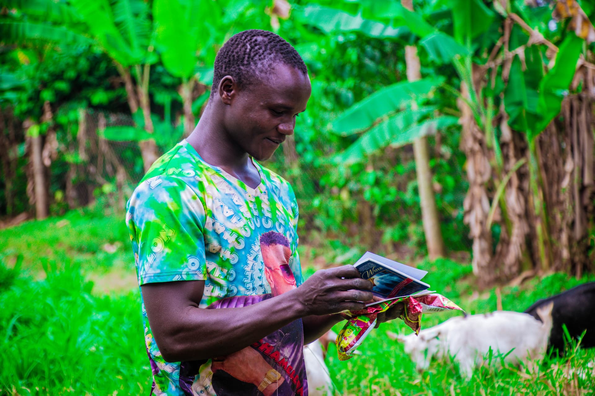 A young man, likely Okot Moses, reads a gospel tract while standing among a herd of goats.