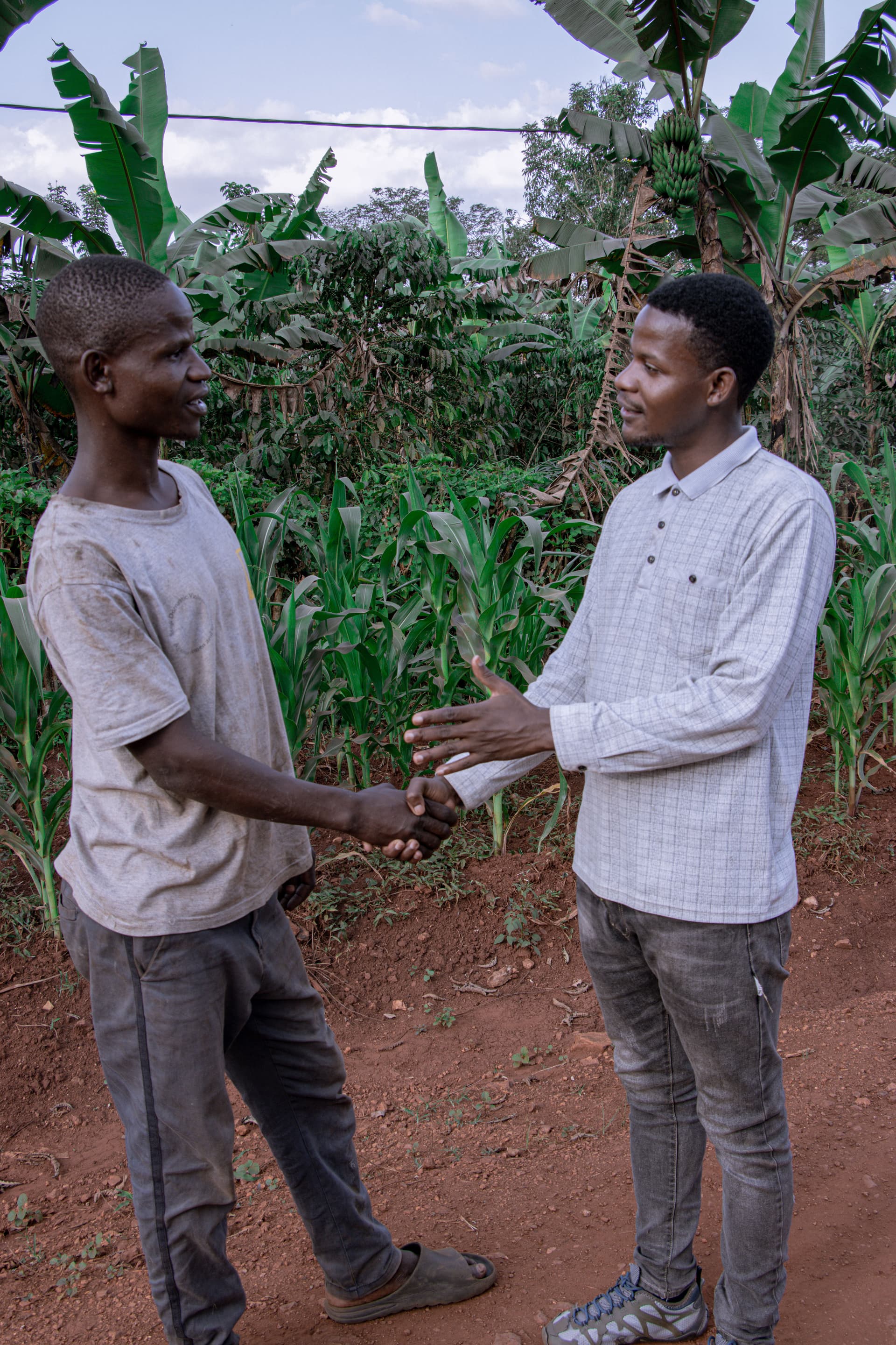 Two men shake hands outdoors near banana plants, likely a reunion with Martin.