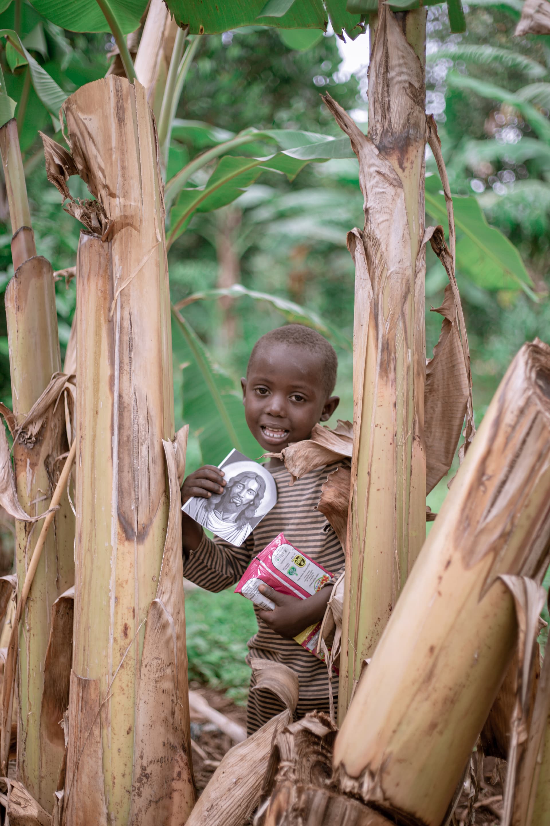 A small child stands among dried banana or sugarcane stalks, holding a snack packet.