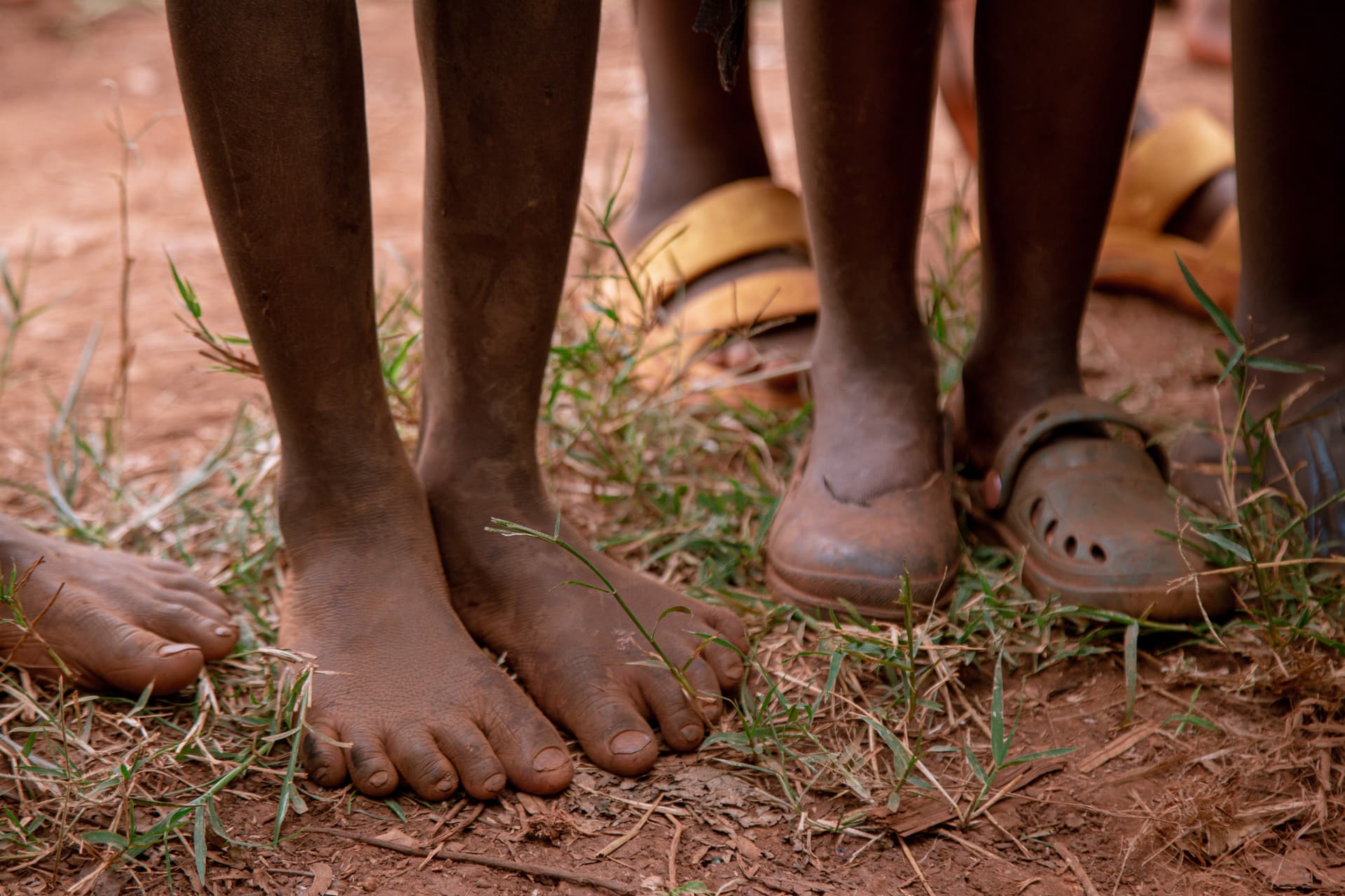 Close-up of children's bare feet standing in grass at Bachi village.