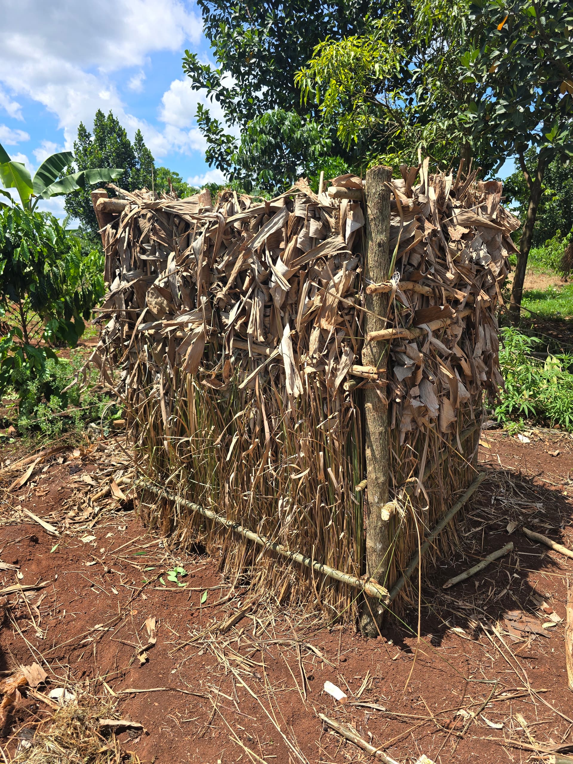 A large pile of dried branches and sticks, the remains of a makeshift shelter, under a partly cloudy sky.