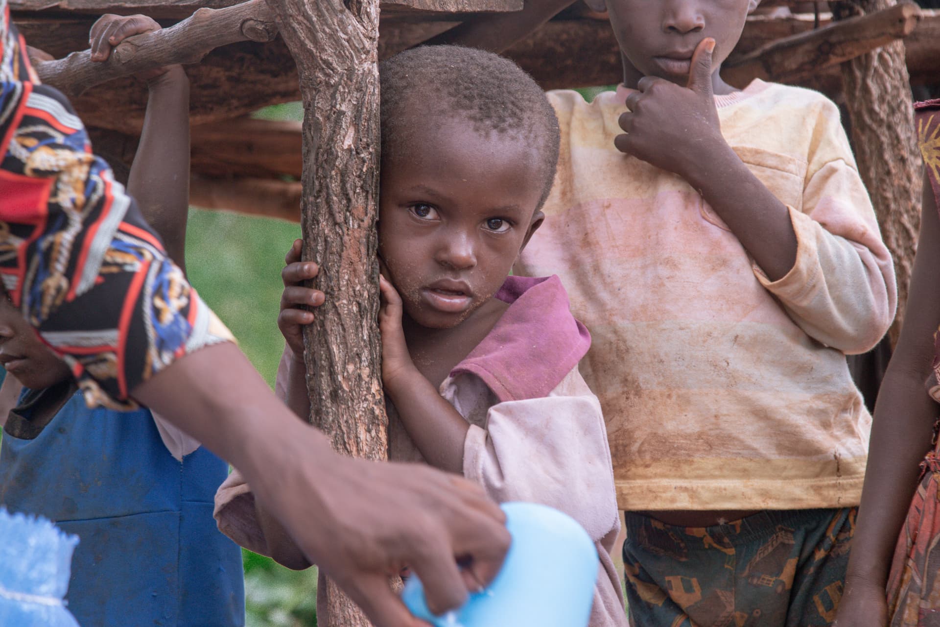 A child stands by a tree trunk holding a blue basin filled with snack packets.
