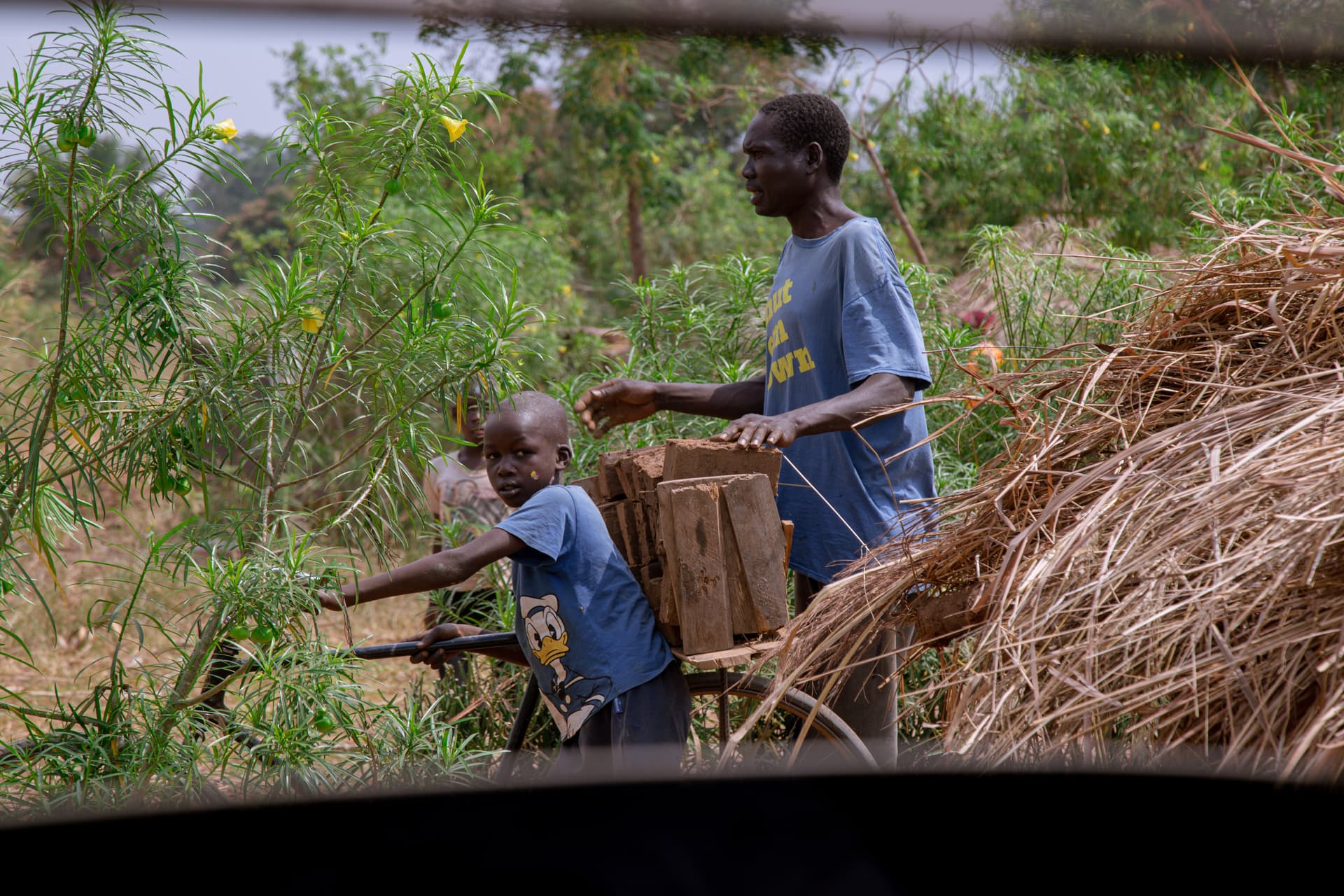 A woman and a boy gather and bundle sticks together in a field.