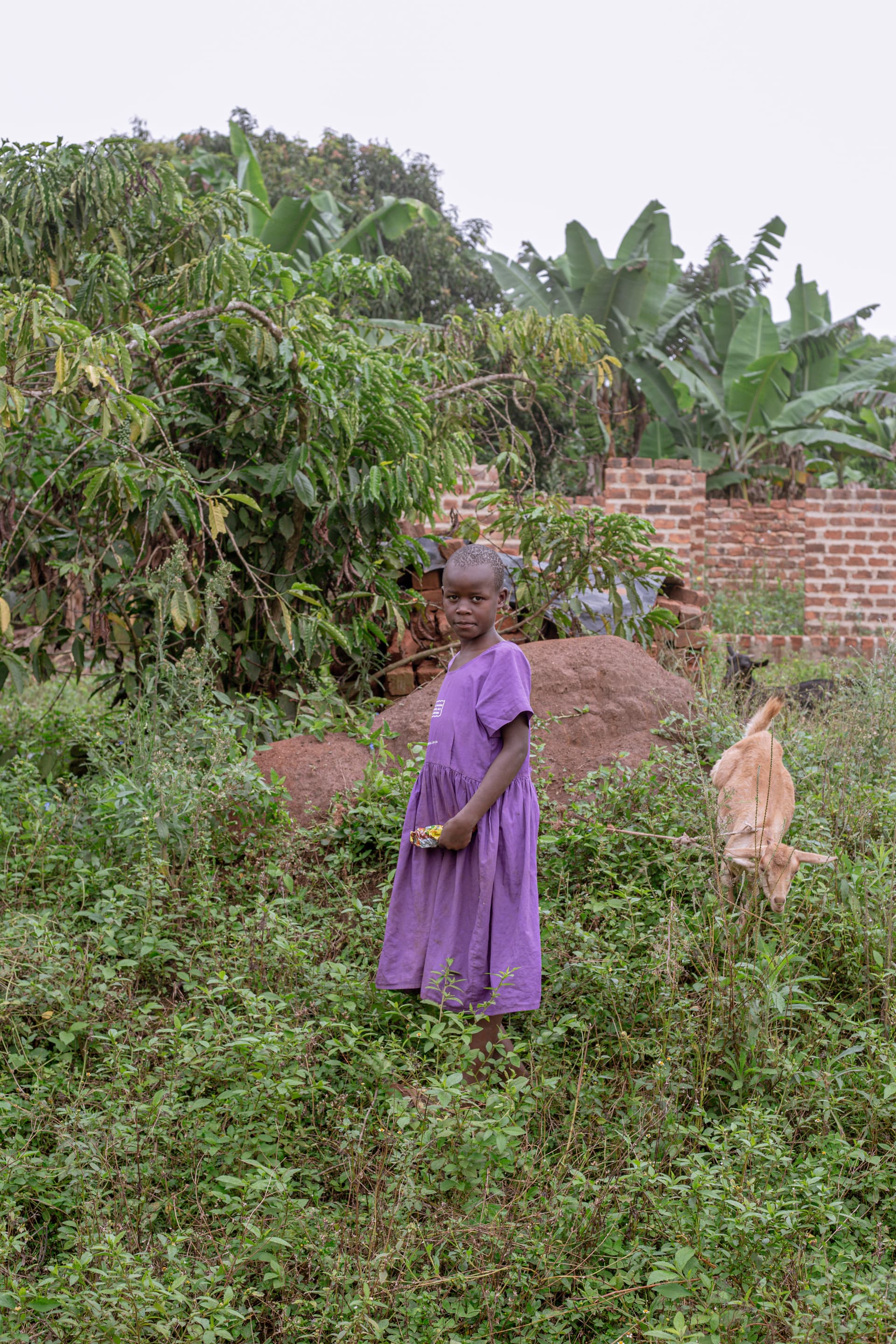A girl in a purple dress walks through tall overgrown grass near a dirt mound.