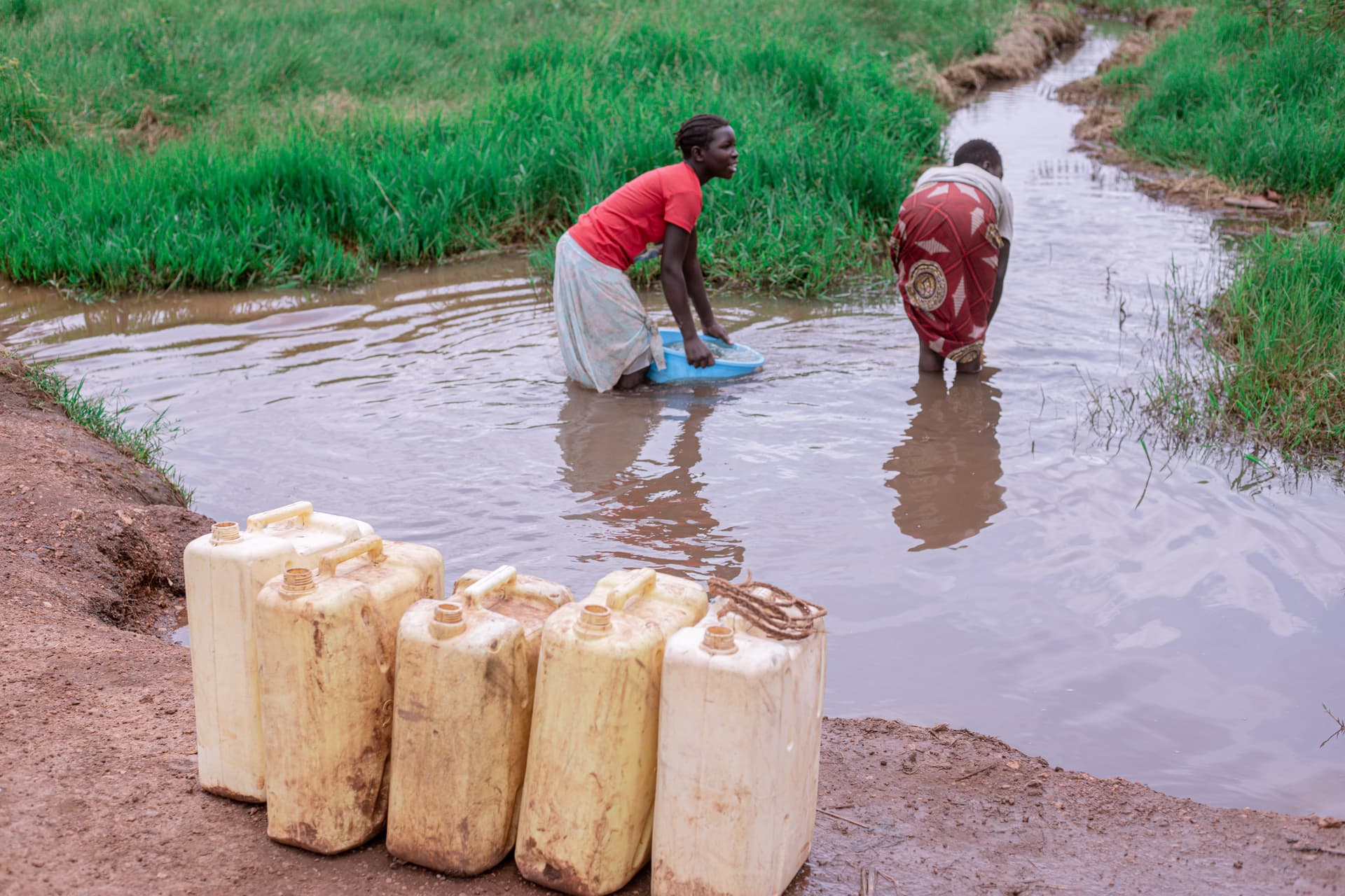 Woman in a red top filling yellow jerrycans with water from a muddy stream.