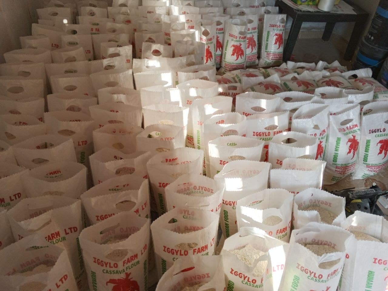 Rows of filled white sacks of processed maize flour stacked in a storage area.