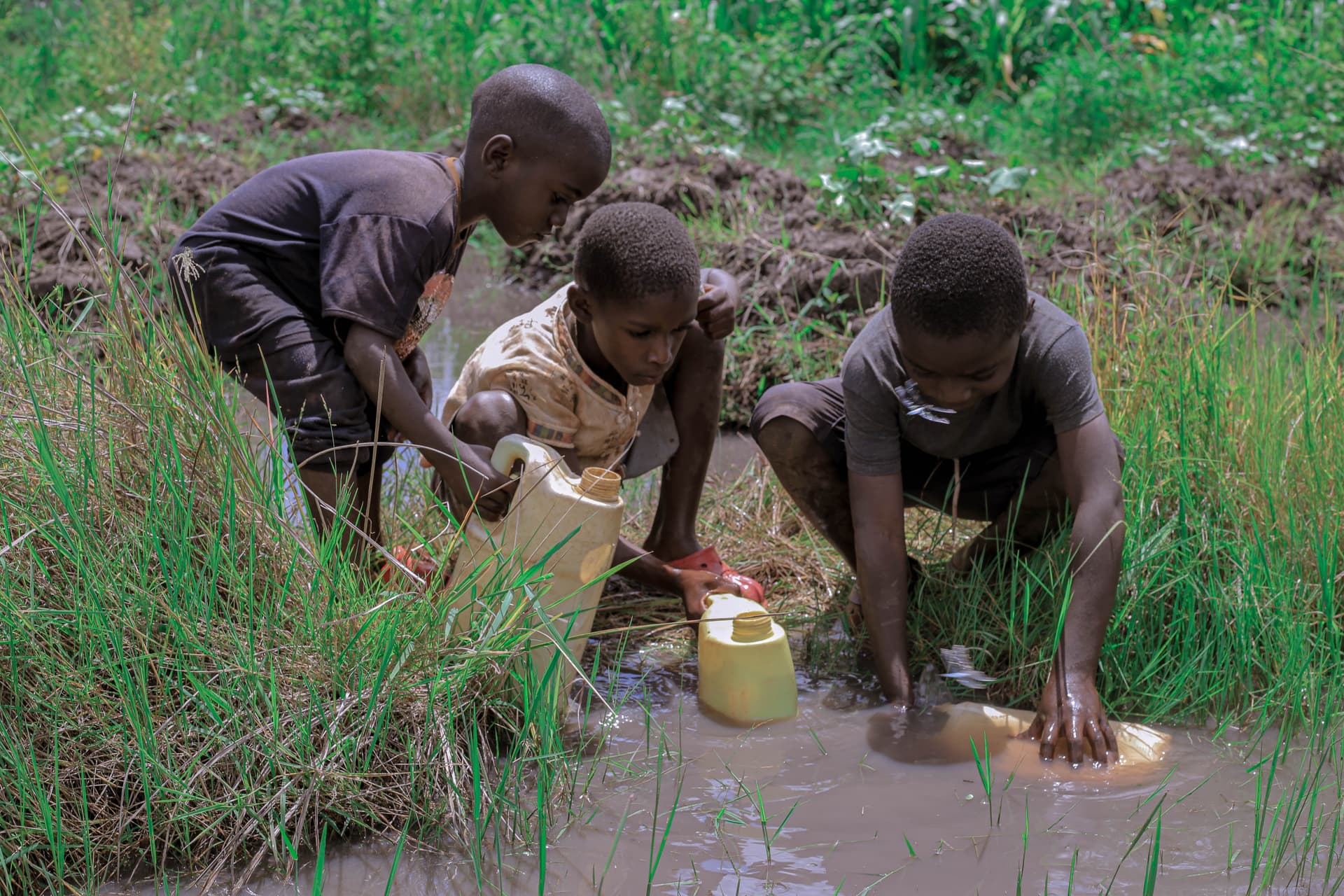 Children crouched at a muddy stream filling yellow jerrycans with water.
