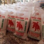 IMAGE 2025-11-11 14:43:01